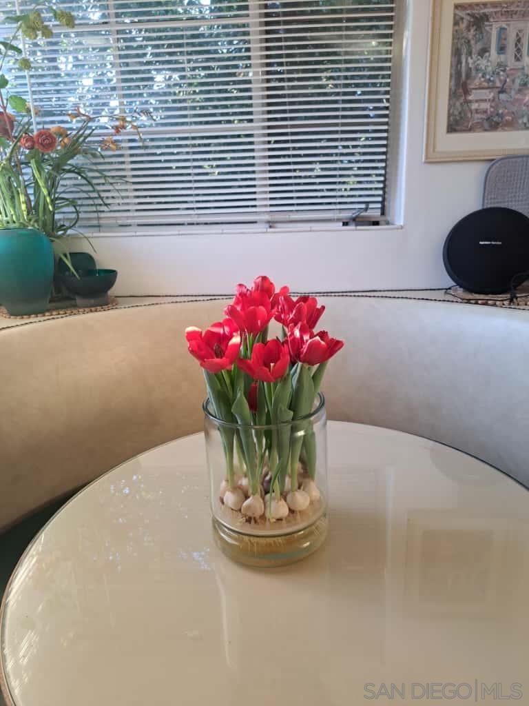 Detail Gallery Image 7 of 45 For 33-35  George St, San Jose,  CA 95110 - – Beds | – Baths