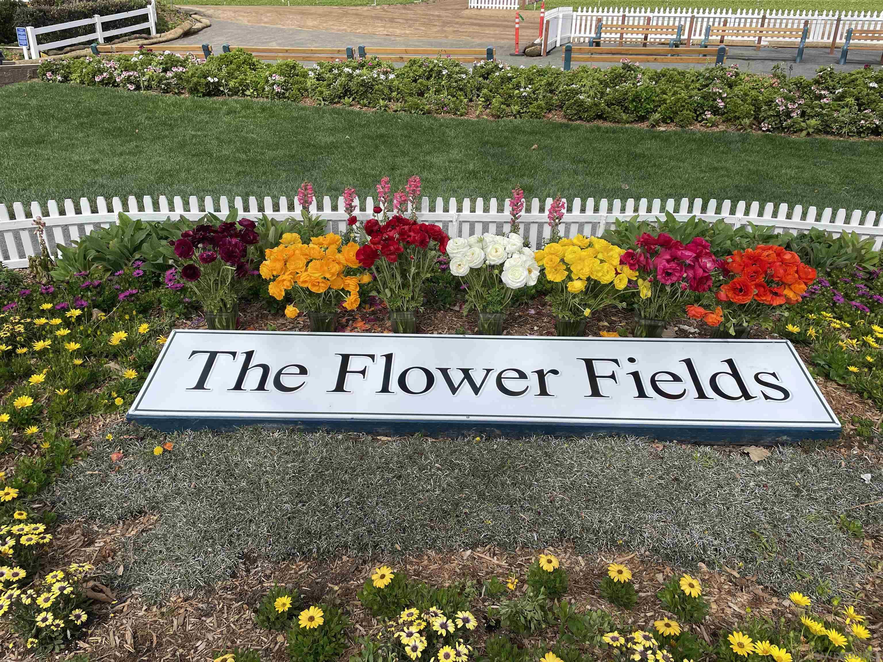 Detail Gallery Image 34 of 40 For 6915  Pear Tree Dr, Carlsbad,  CA 92011 - 2 Beds | 2 Baths