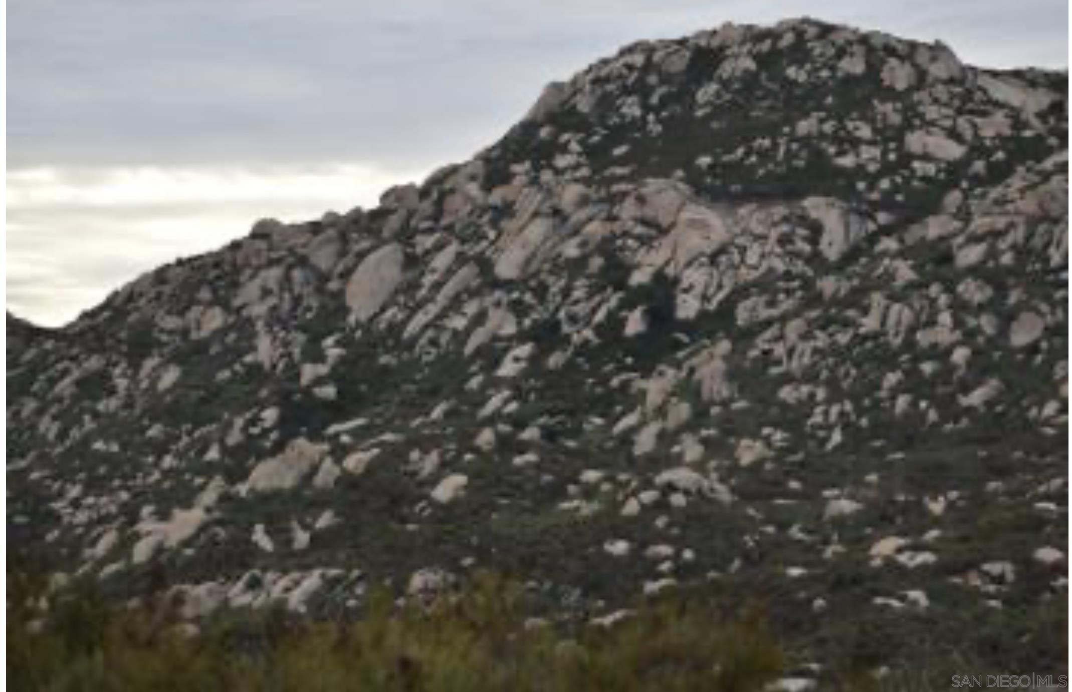 Front Image Thumbnail for SD250037494