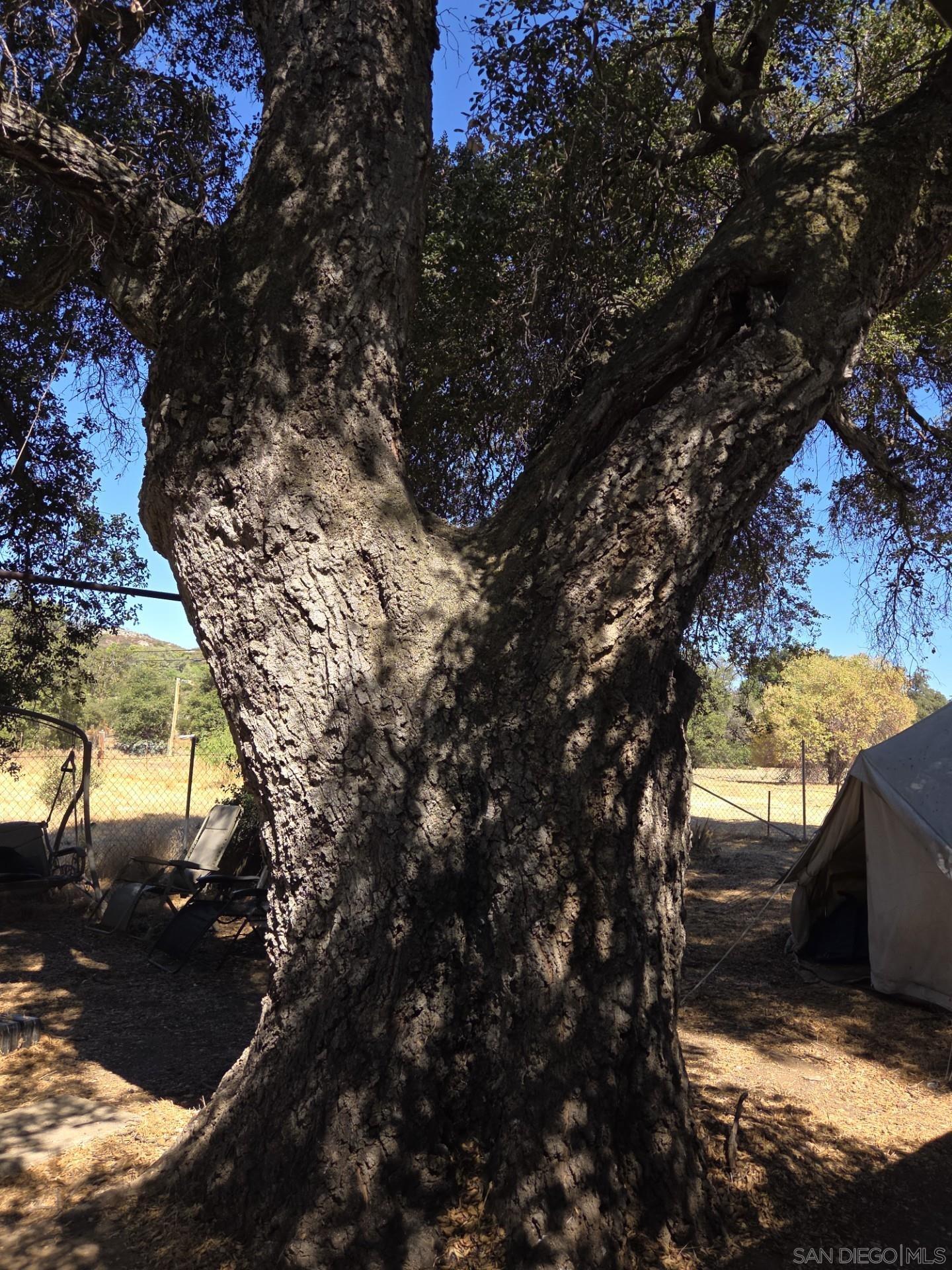 Detail Gallery Image 19 of 19 For 2125  Buckman Springs Road, Campo,  CA 91906 - 3 Beds | 1 Baths