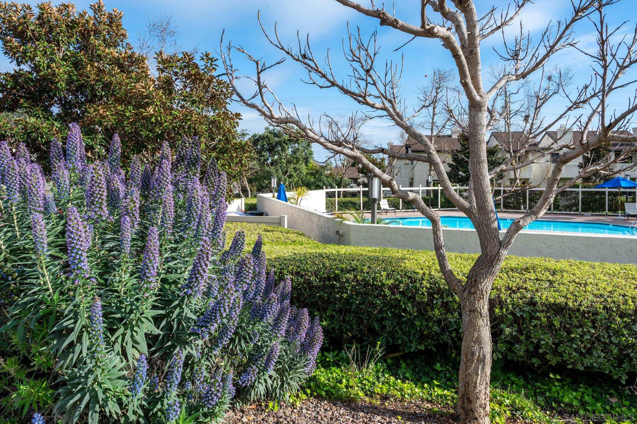 Detail Gallery Image 36 of 39 For 1275  River Vista Row  139, San Diego,  CA 92111 - 2 Beds | 2 Baths