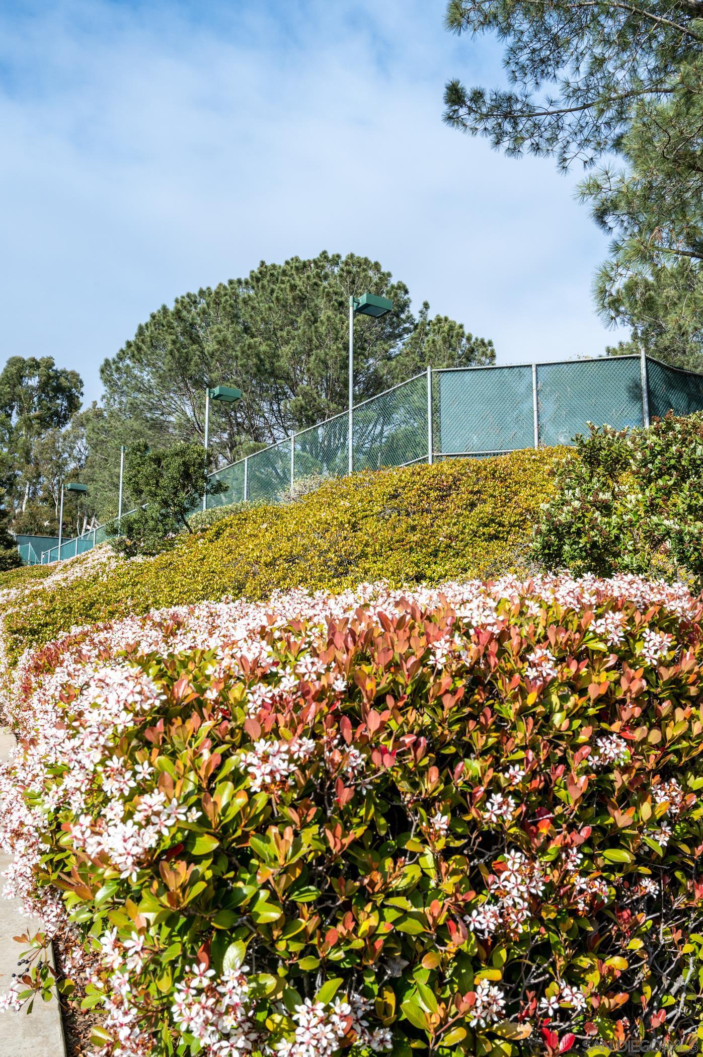 Detail Gallery Image 37 of 39 For 1275  River Vista Row  139, San Diego,  CA 92111 - 2 Beds | 2 Baths