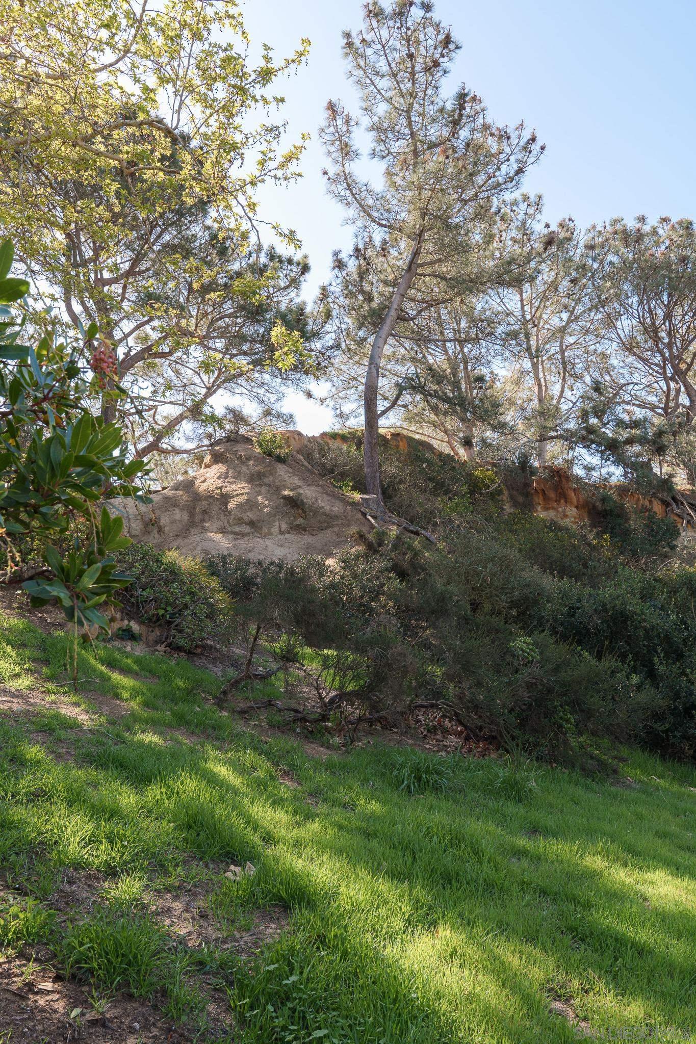 Detail Gallery Image 16 of 37 For , Del Mar,  CA 92014 - – Beds | – Baths