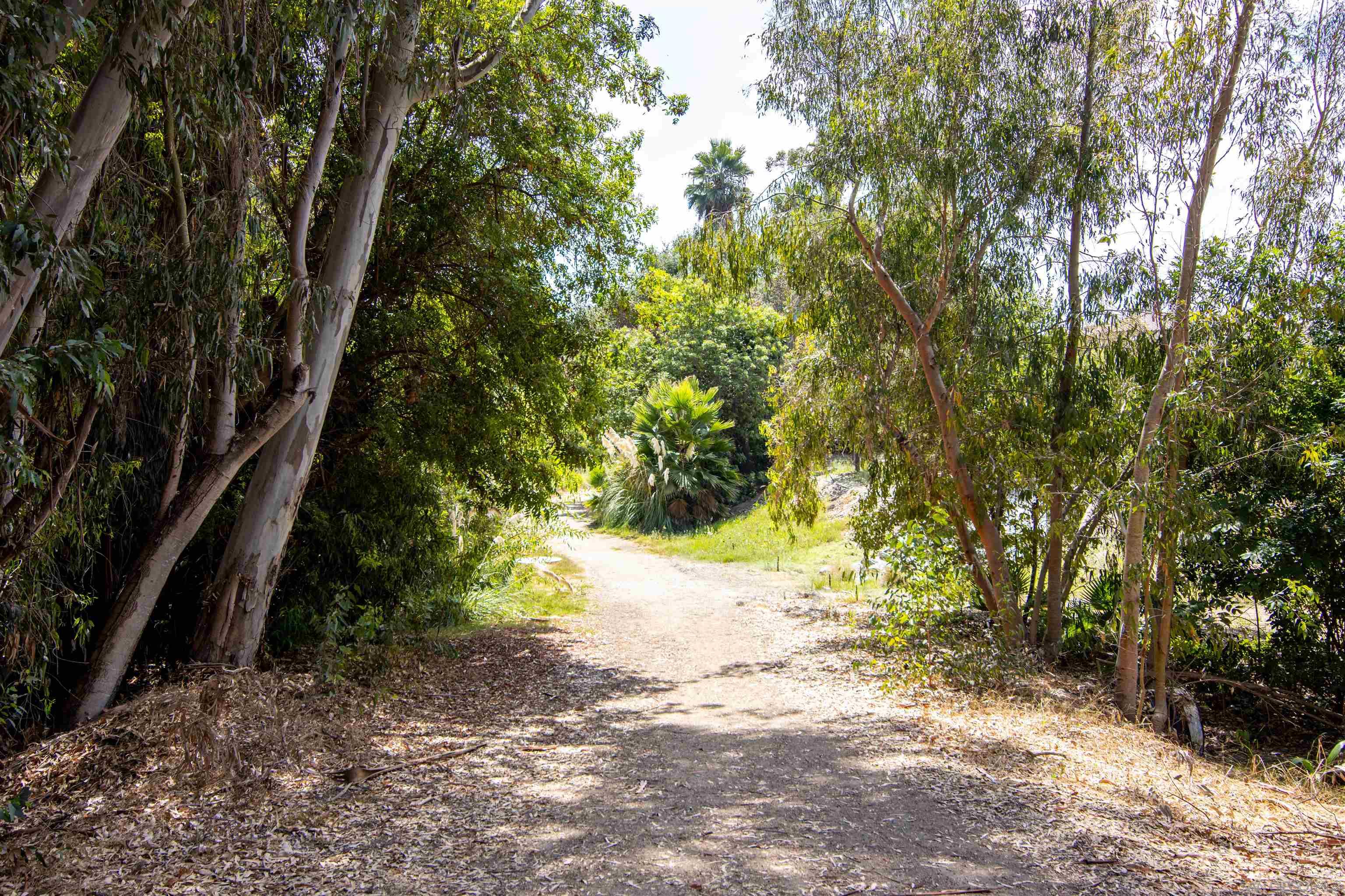 Detail Gallery Image 8 of 31 For 1713  Cameo Drive, Vista,  CA 92083 - 4 Beds | 3 Baths