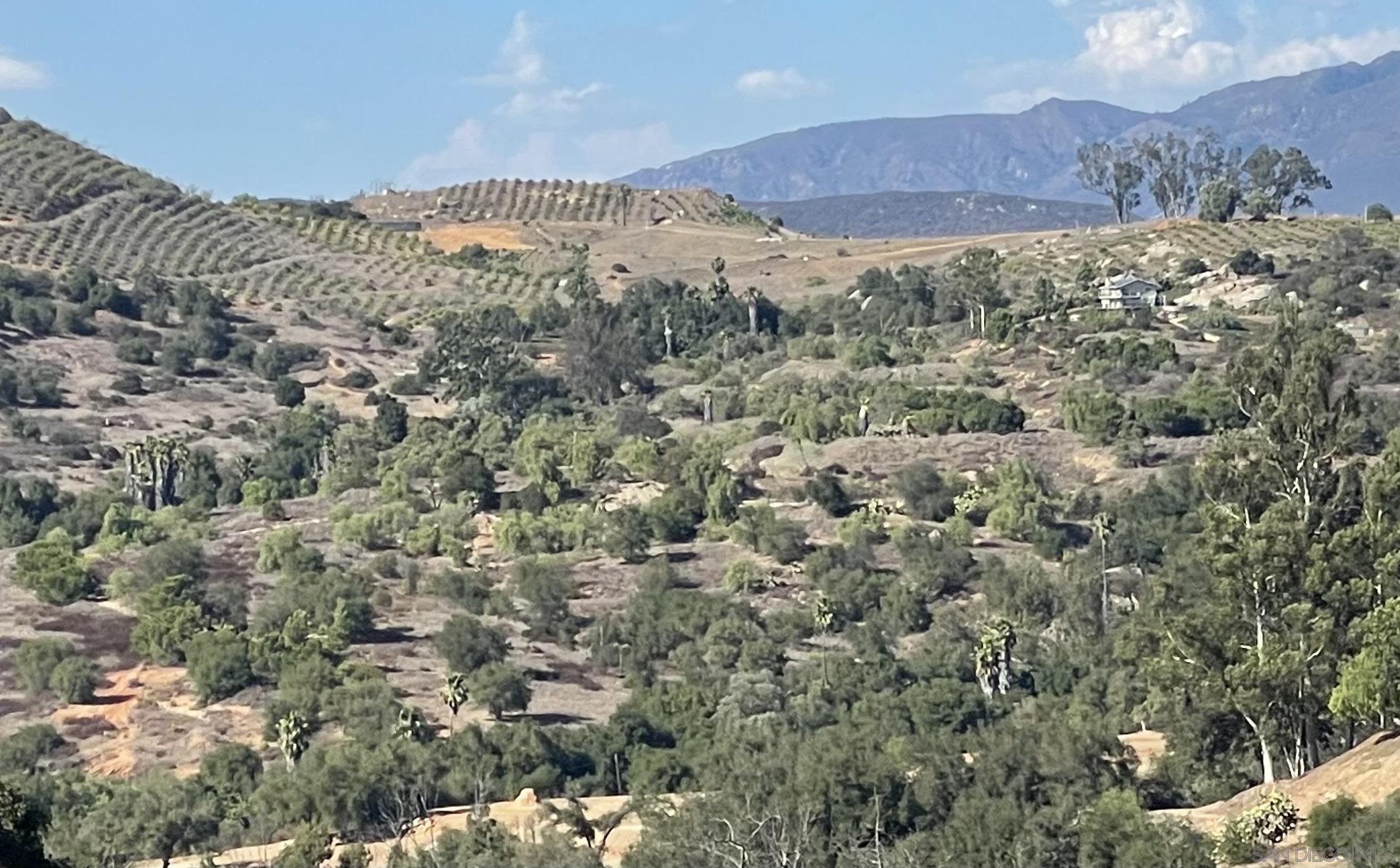 Front Image Thumbnail for SD250039159