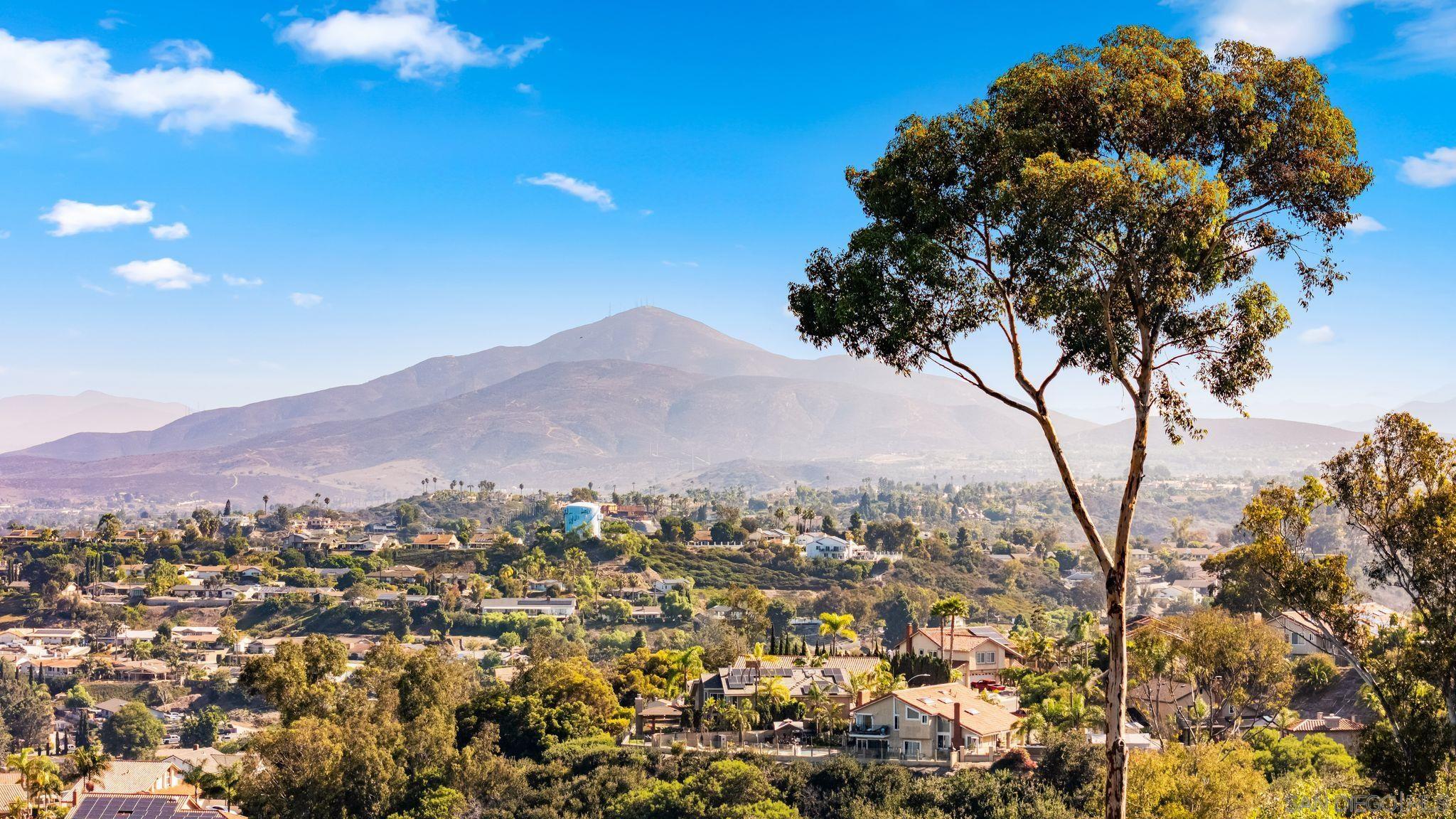 Detail Gallery Image 49 of 56 For 363  Surrey Dr, Bonita,  CA 91902 - 4 Beds | 3/1 Baths