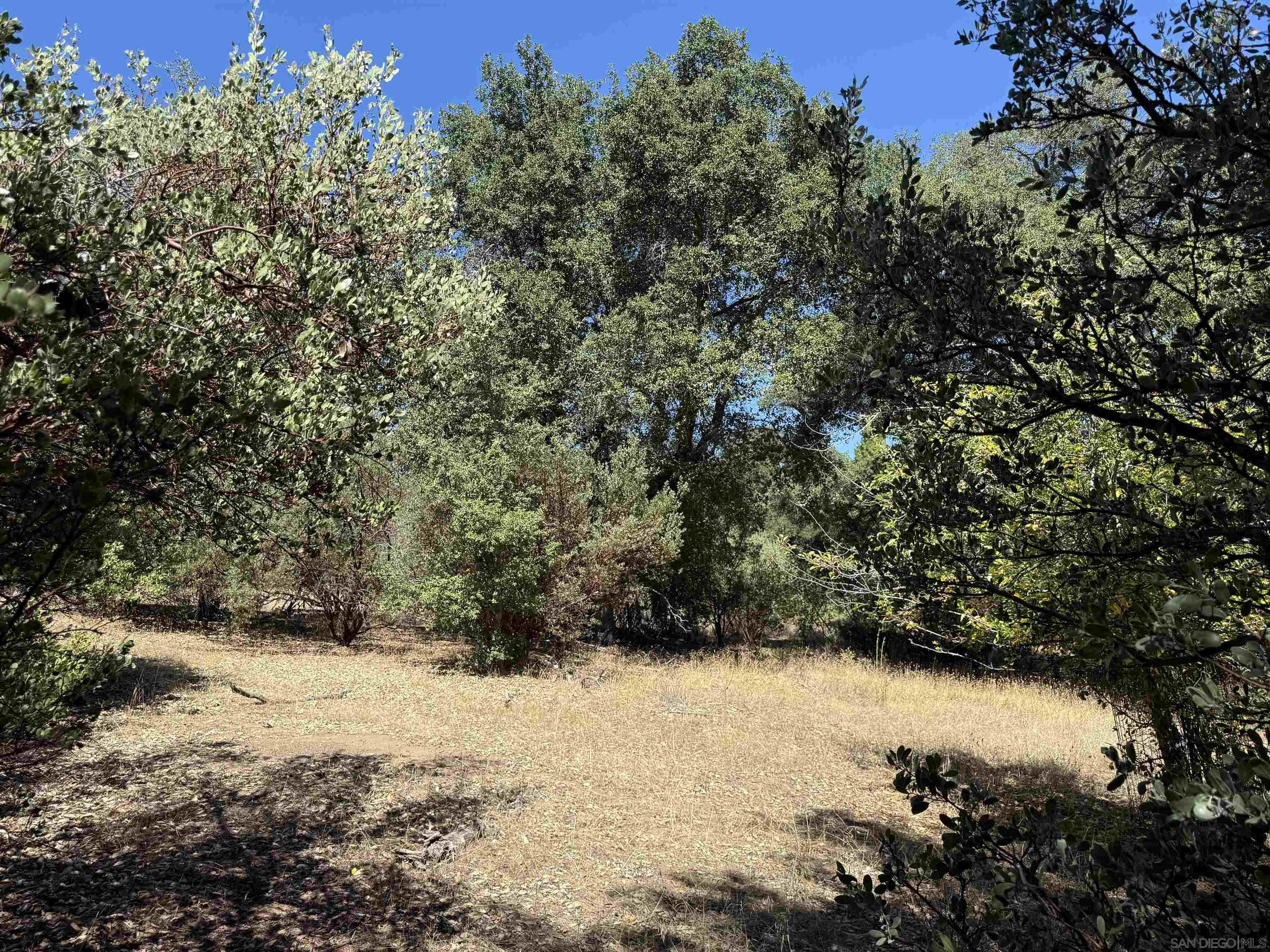 Detail Gallery Image 11 of 16 For , Julian,  CA 92036 - – Beds | – Baths