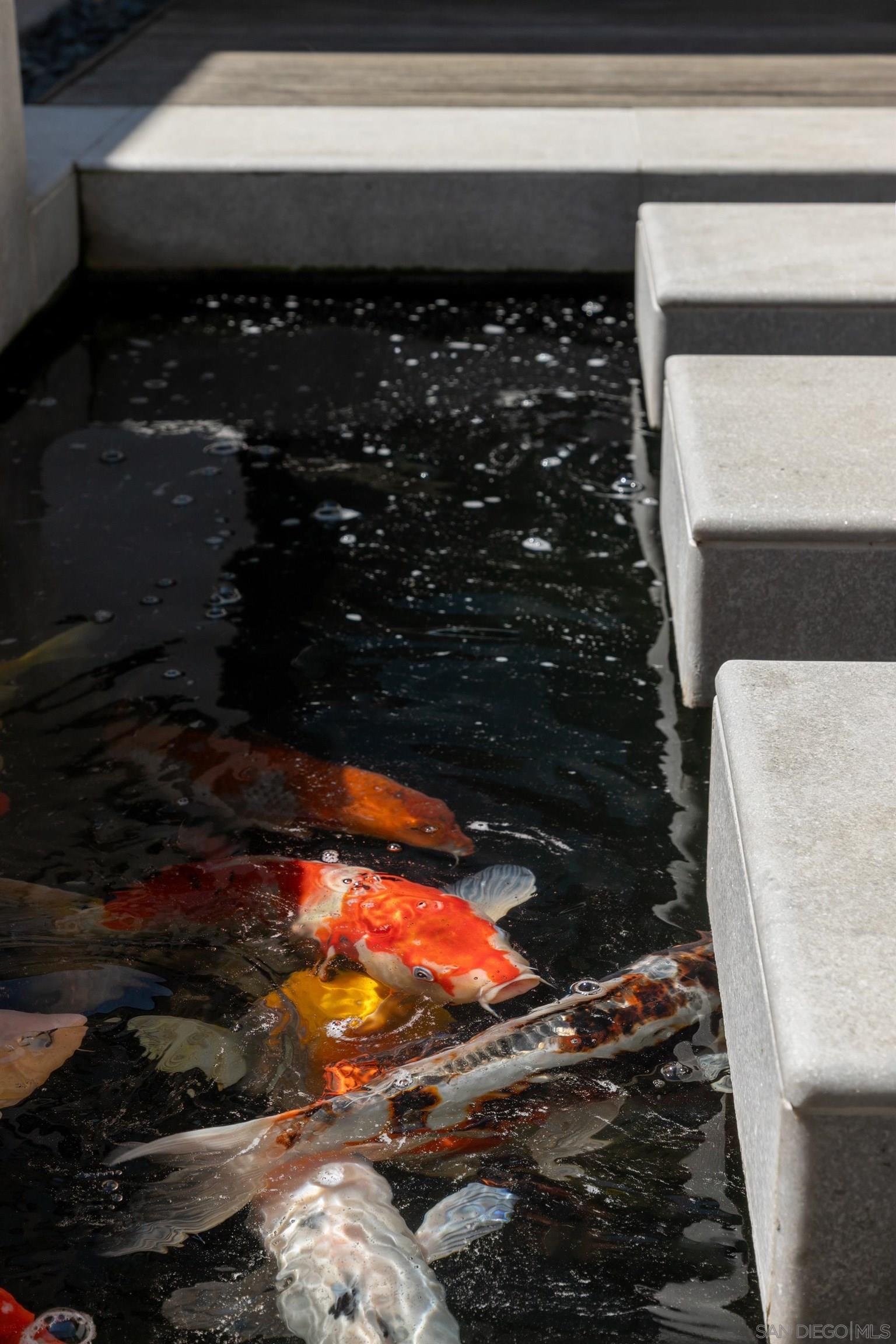 Detail Gallery Image 12 of 34 For 809  Sandy Court, Encinitas,  CA 92024 - 4 Beds | 3/1 Baths