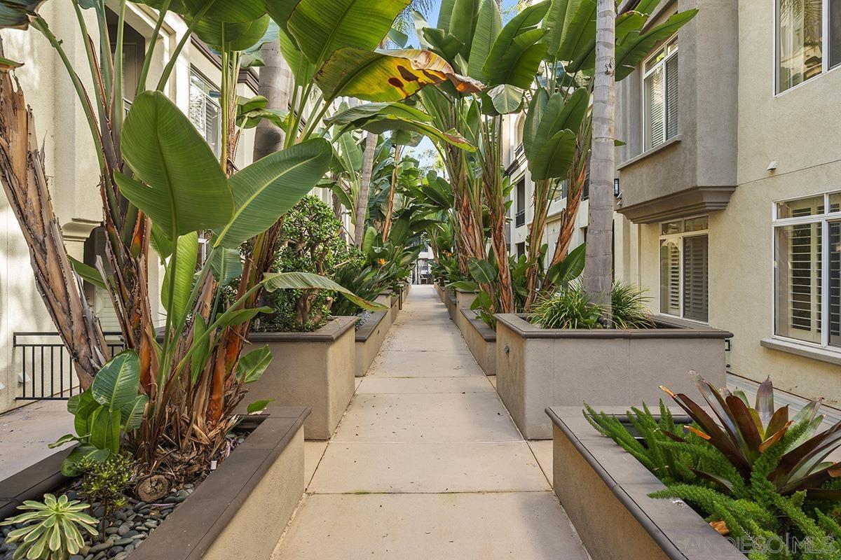 Detail Gallery Image 40 of 59 For 4165  Executive Dr  #F107,  La Jolla,  CA 92037 - 2 Beds | 2 Baths