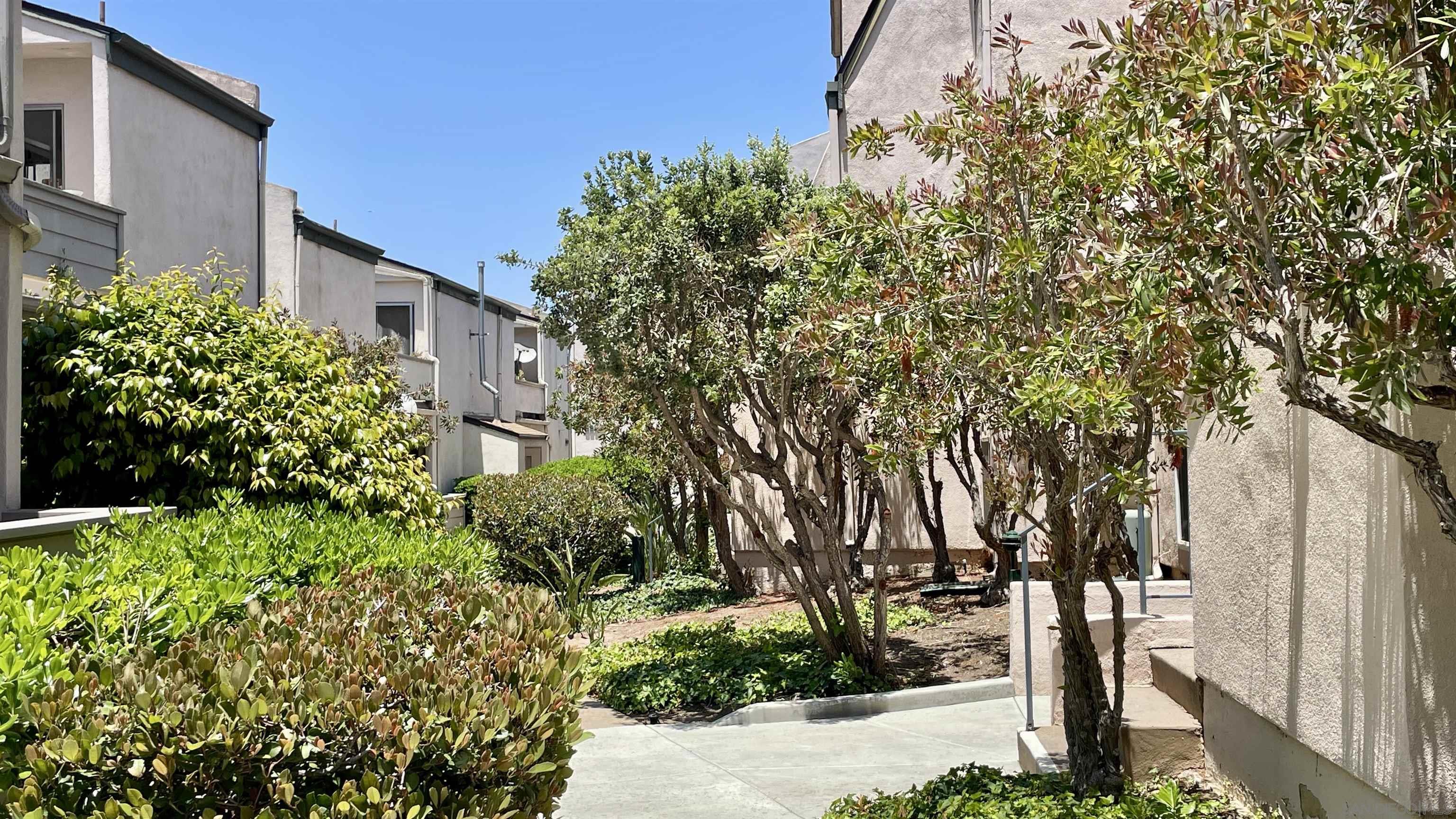 Front Image Thumbnail for SD250040836