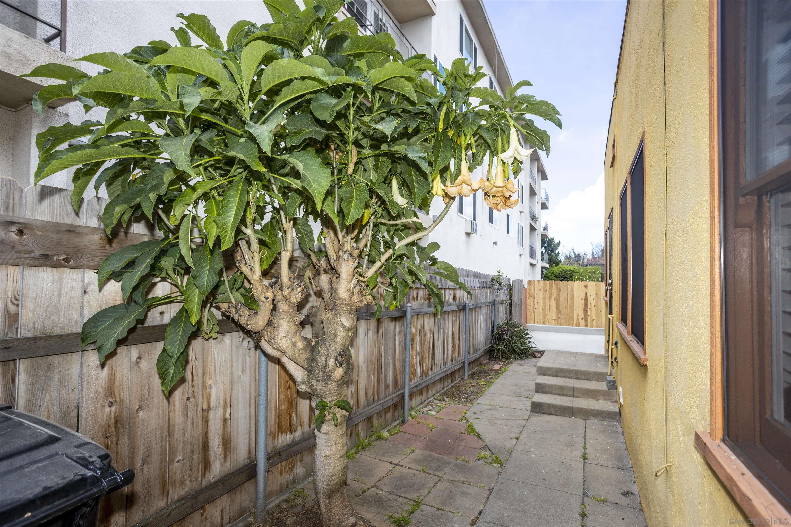 Detail Gallery Image 21 of 25 For 1717  Myrtle Ave, San Diego,  CA 92103 - 2 Beds | 1 Baths