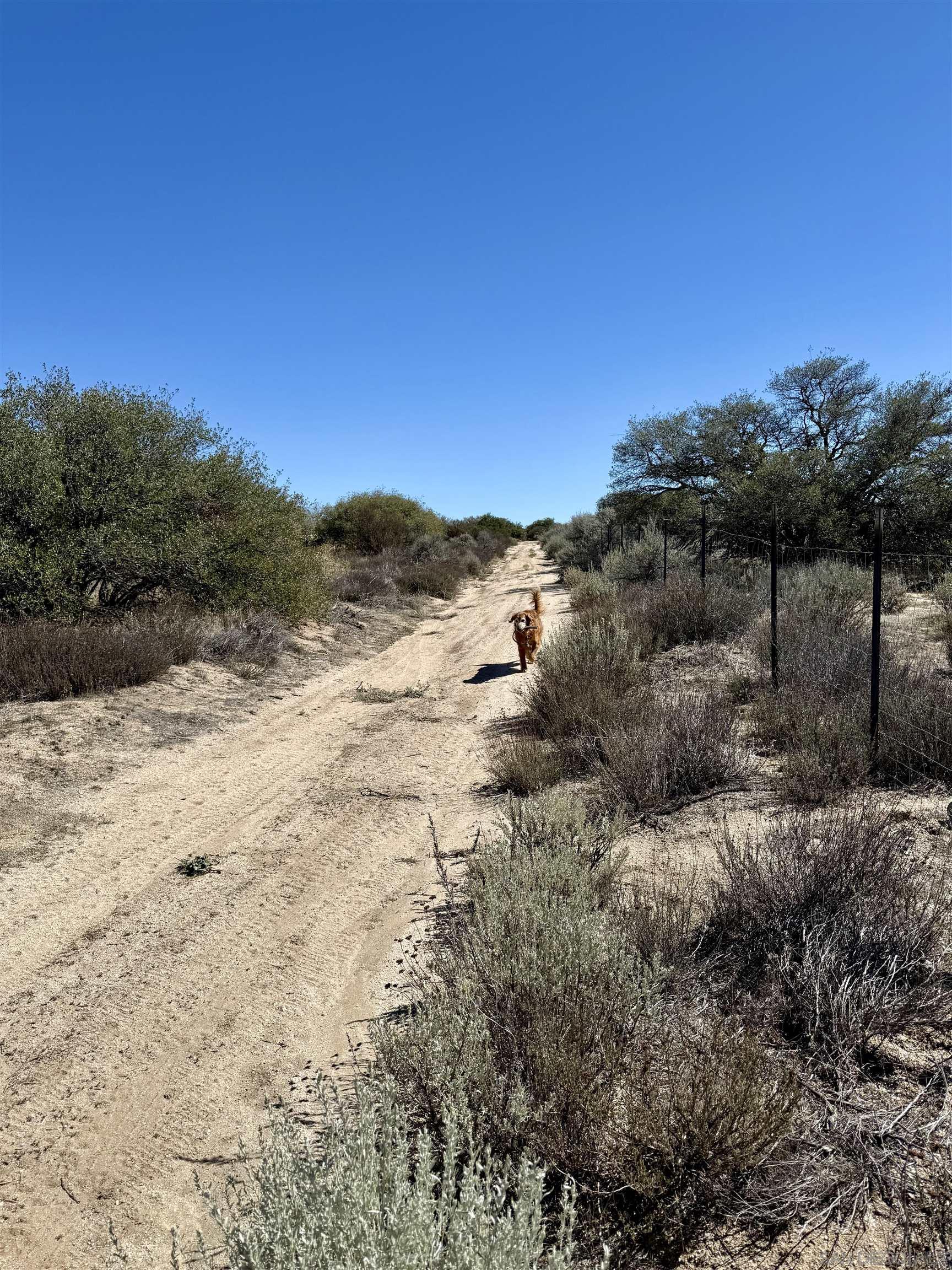 Detail Gallery Image 17 of 20 For , Ranchita,  CA 92066 - – Beds | – Baths