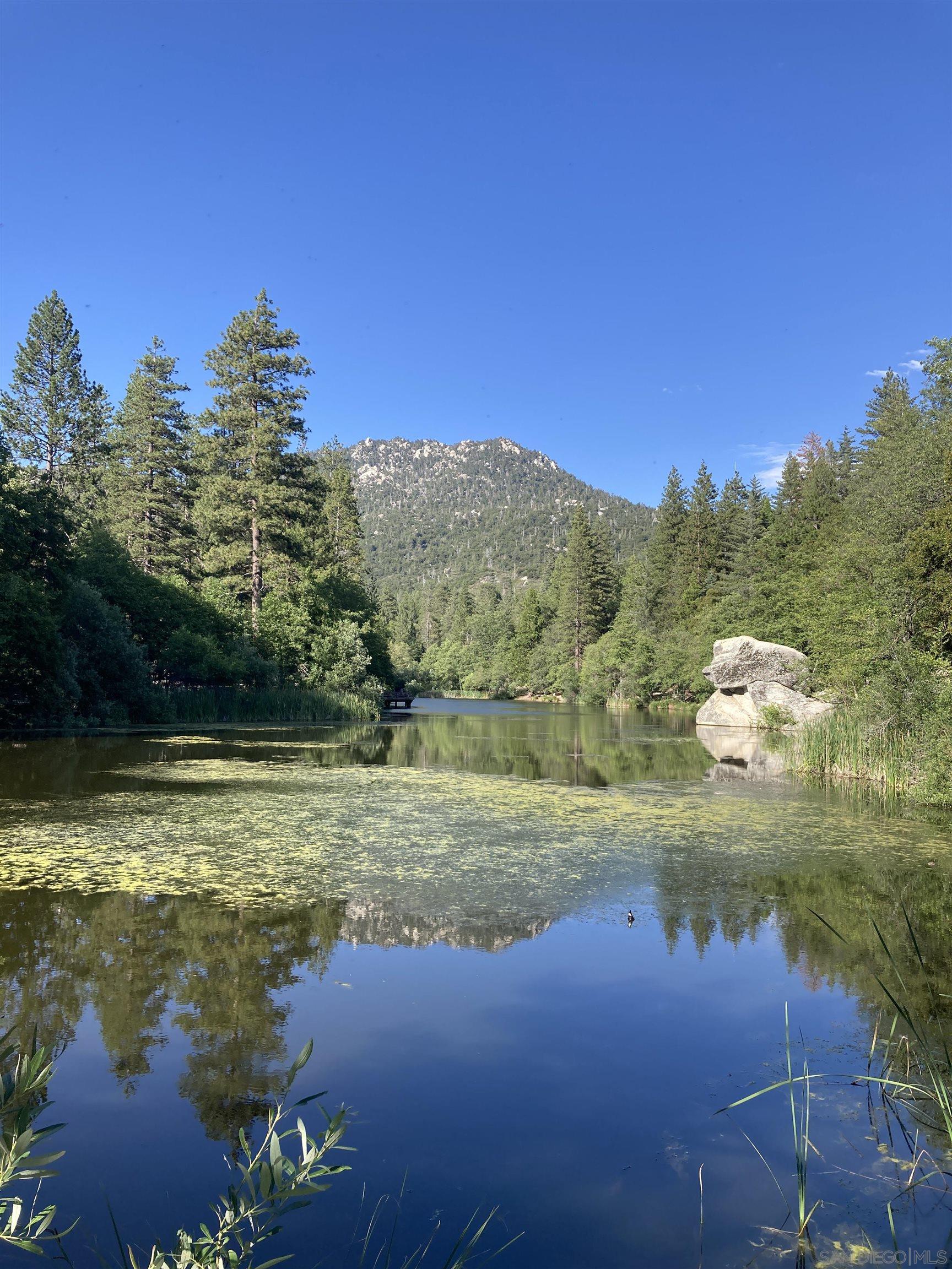 Detail Gallery Image 48 of 48 For 24655  Upper Rim Rock Road, Idyllwild,  CA 92549 - 3 Beds | 3 Baths