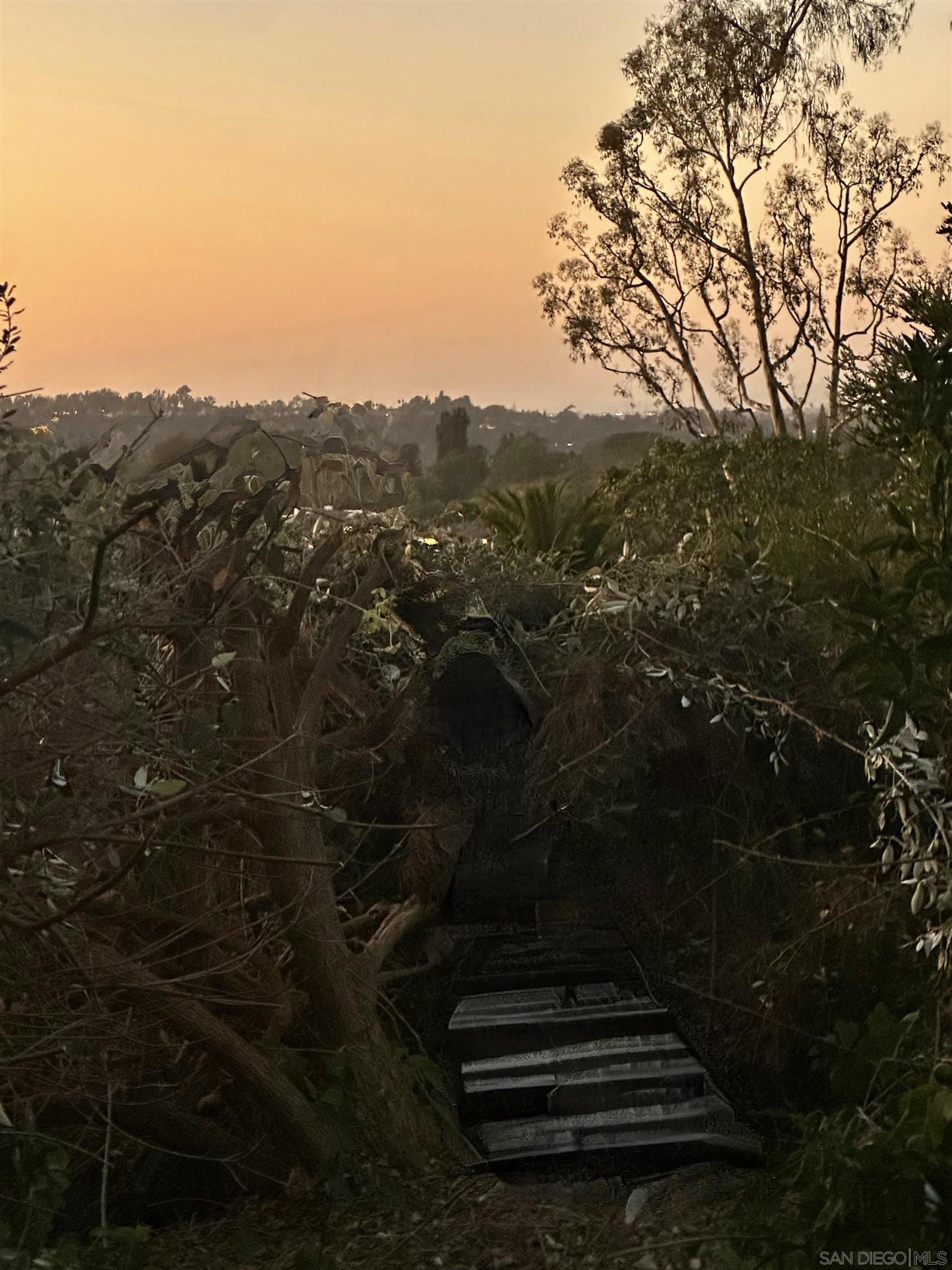 Detail Gallery Image 35 of 36 For 5499  Avenida Maravillas, Rancho Santa Fe,  CA 92067 - 5 Beds | 4/1 Baths