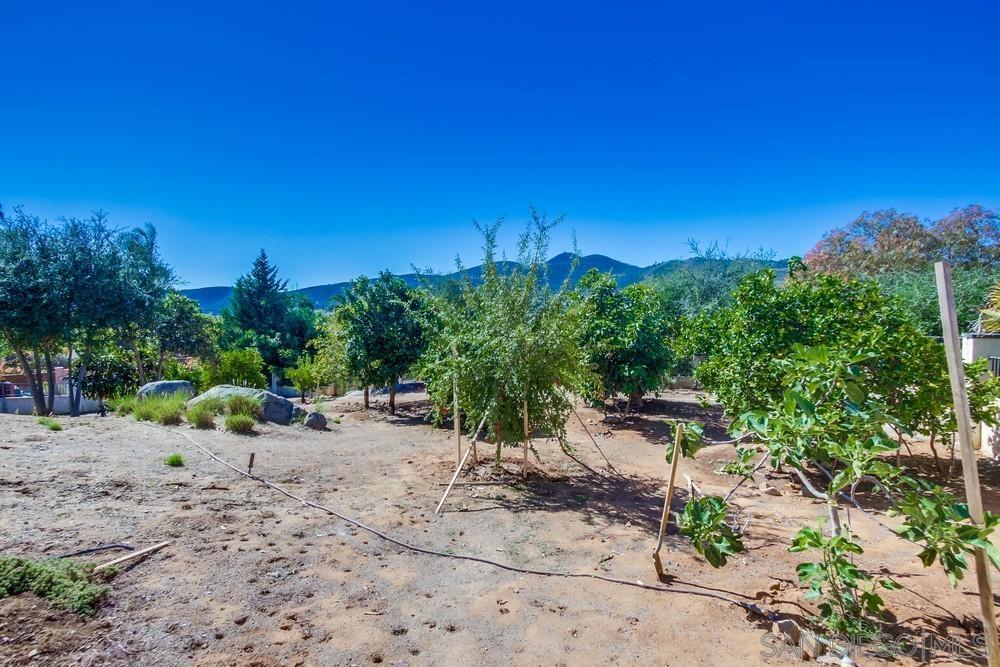 Detail Gallery Image 72 of 74 For 1365  Oak View Way, Escondido,  CA 92029 - 4 Beds | 2 Baths