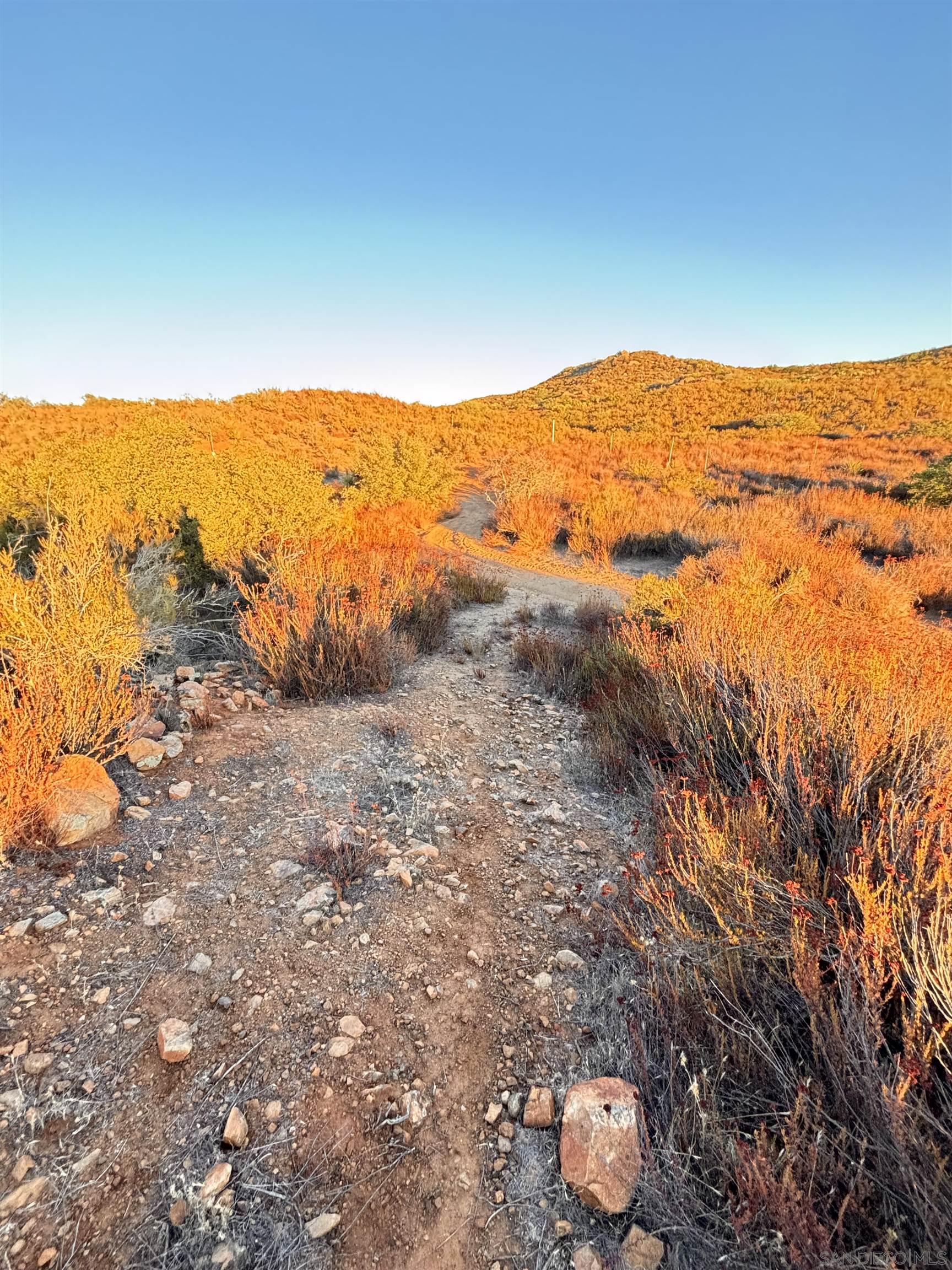 Detail Gallery Image 2 of 6 For , Potrero,  CA 91963 - – Beds | – Baths