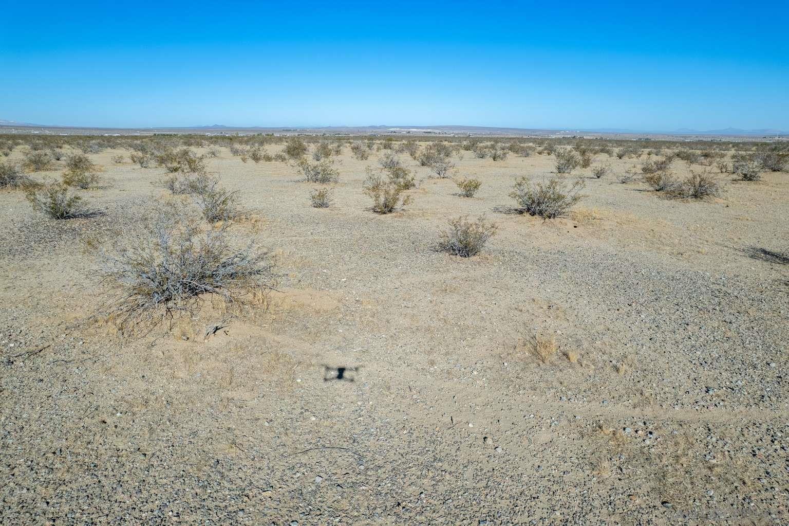 Detail Gallery Image 19 of 37 For , Helendale,  CA 92342 - – Beds | – Baths