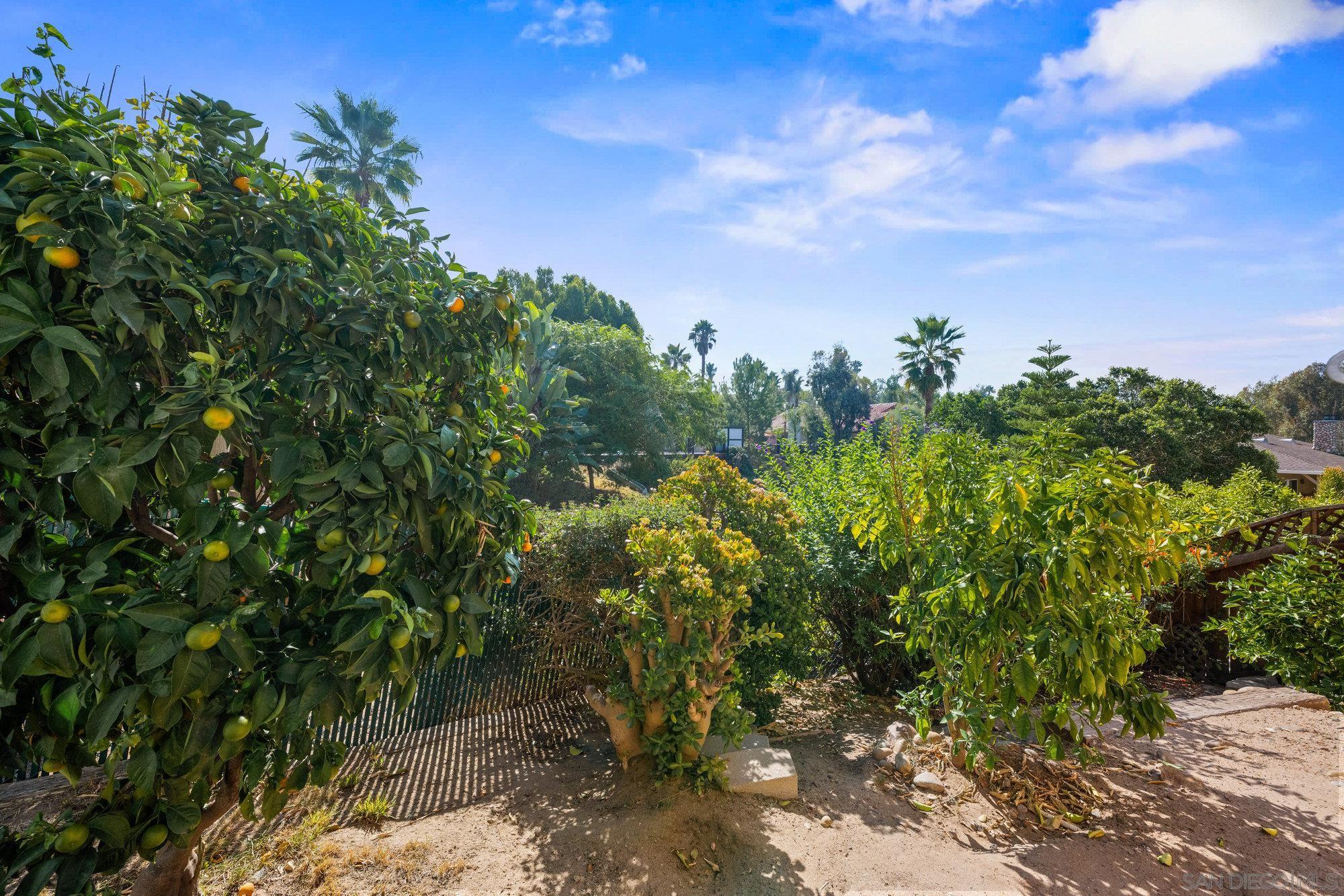 Detail Gallery Image 32 of 40 For 7982  Lemon Cir, La Mesa,  CA 91941 - 3 Beds | 2/1 Baths