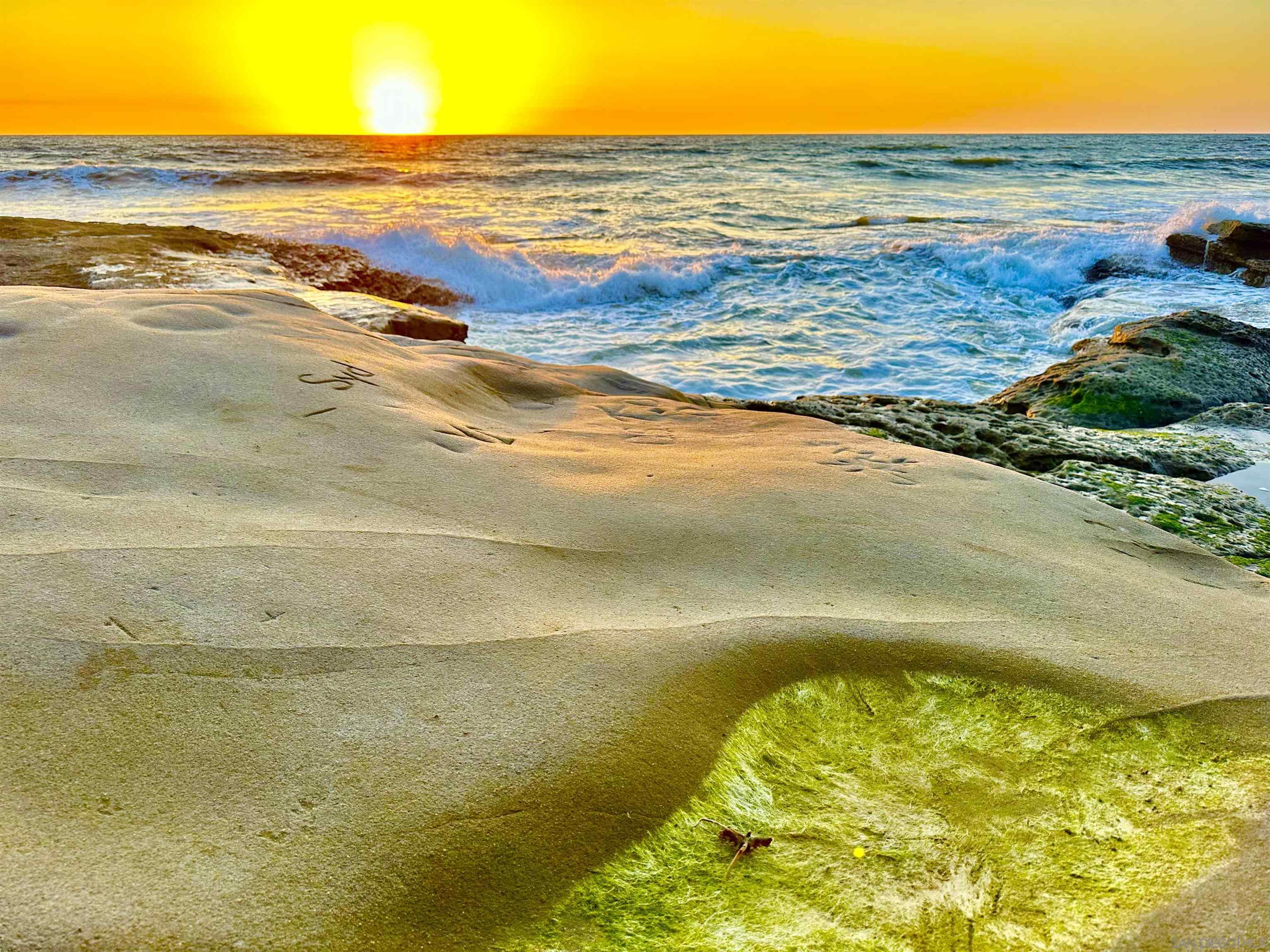 Detail Gallery Image 21 of 21 For 4985-89  Narragansett Ave, San Diego,  CA 92107 - – Beds | – Baths