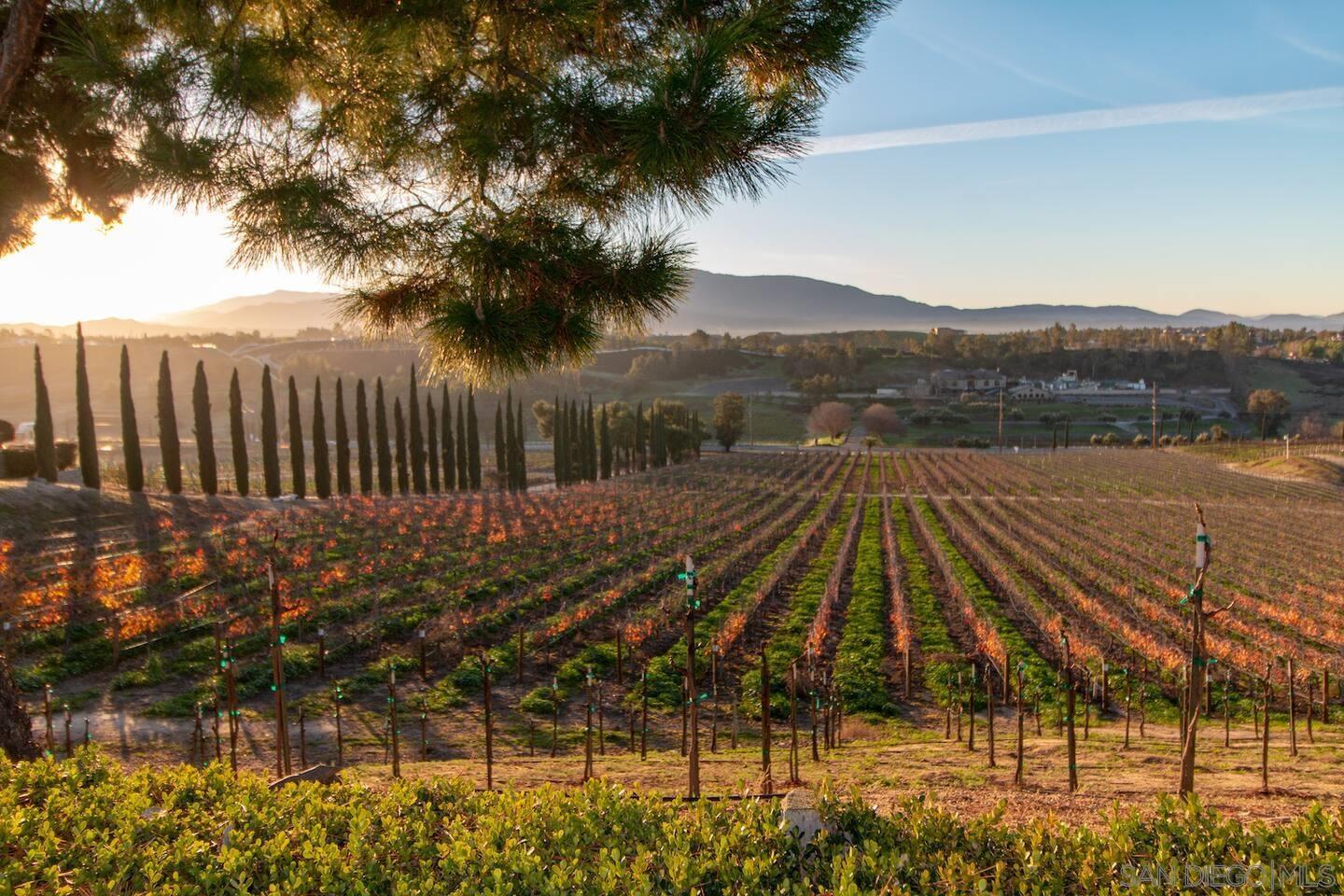 Detail Gallery Image 35 of 37 For 24643  Leafwood Dr, Murrieta,  CA 92562 - 5 Beds | 3 Baths