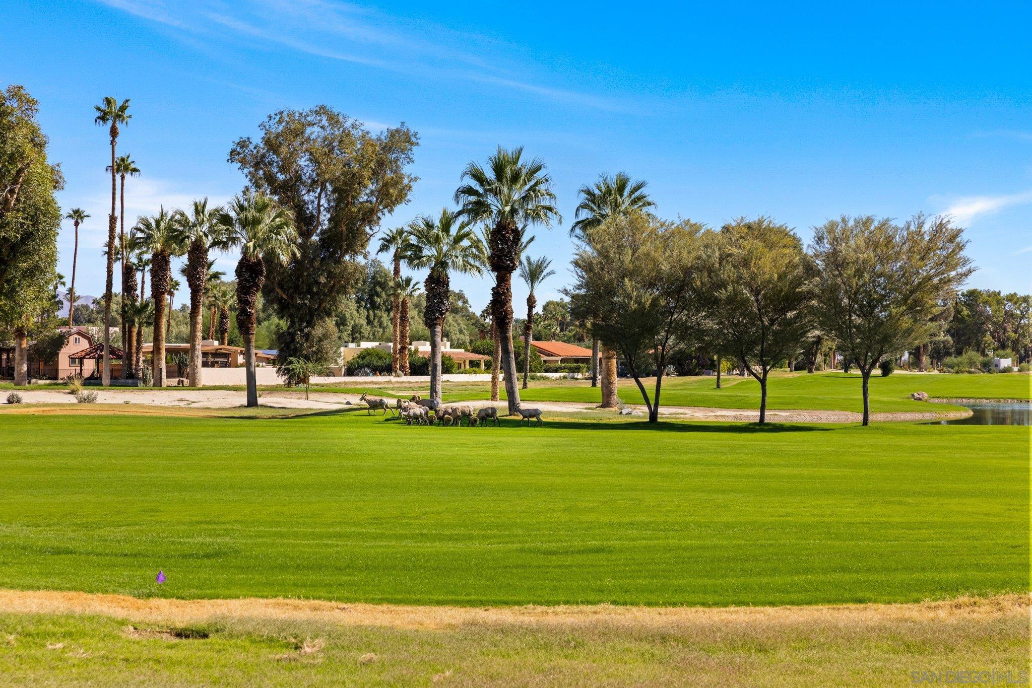 Detail Gallery Image 72 of 75 For 1668  Montezuma Ct  #22,  Borrego Springs,  CA 92004 - 2 Beds | 2 Baths