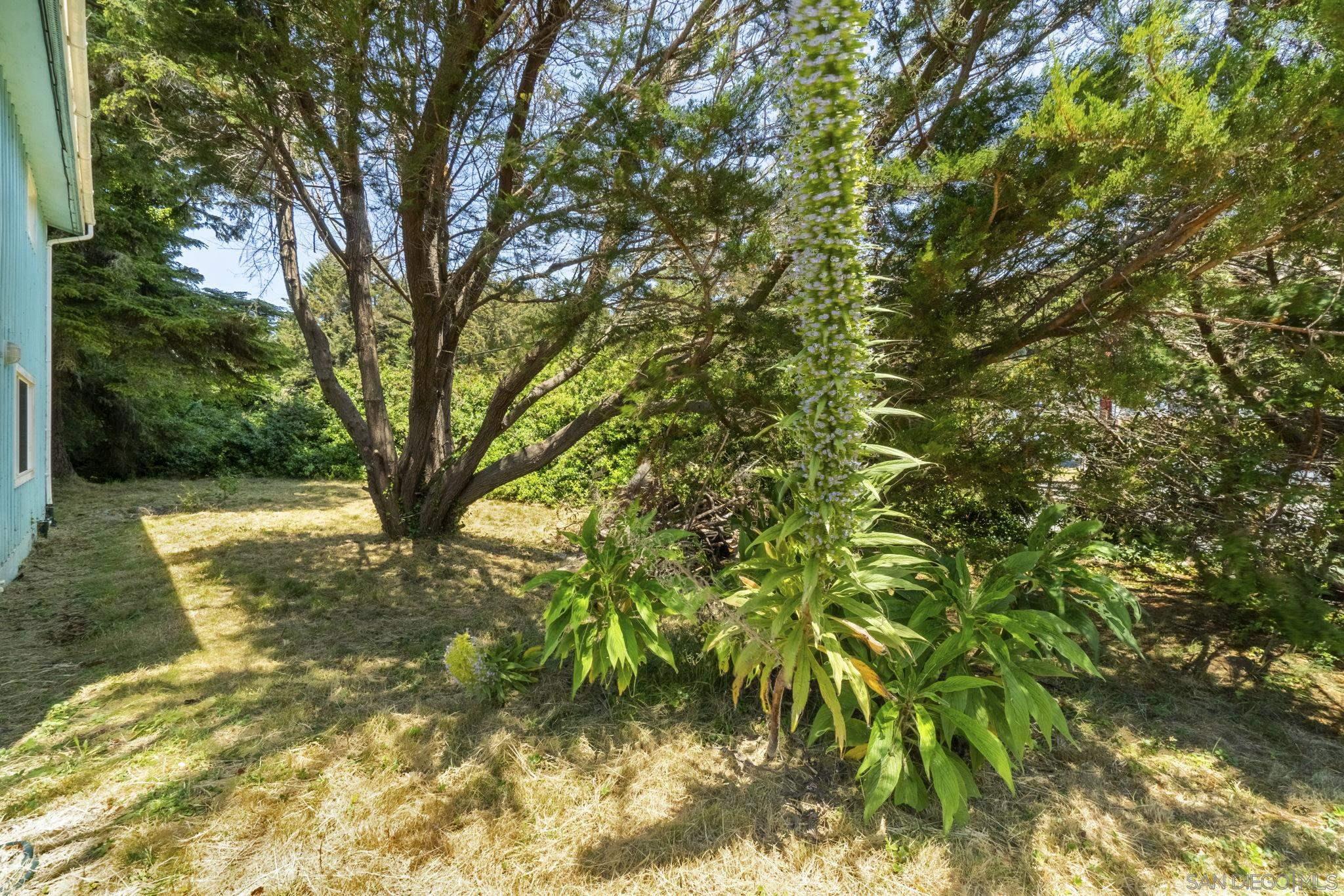 Detail Gallery Image 32 of 42 For 101  Salmon Harbor Rd, Smith River,  CA 95567 - 3 Beds | 3 Baths