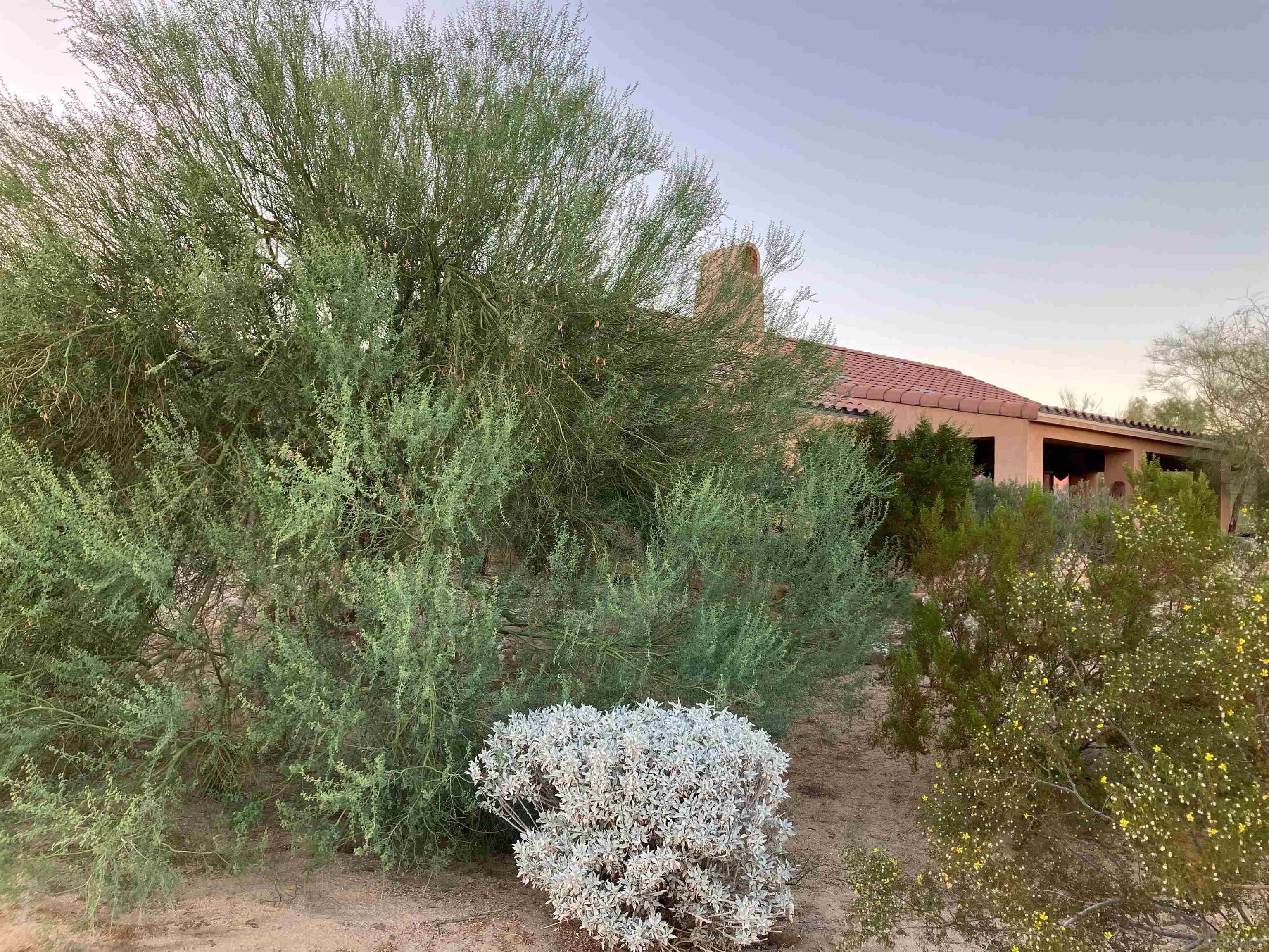 Detail Gallery Image 34 of 43 For 3277  Frying Pan Rd, Borrego Springs,  CA 92004 - 3 Beds | 2 Baths