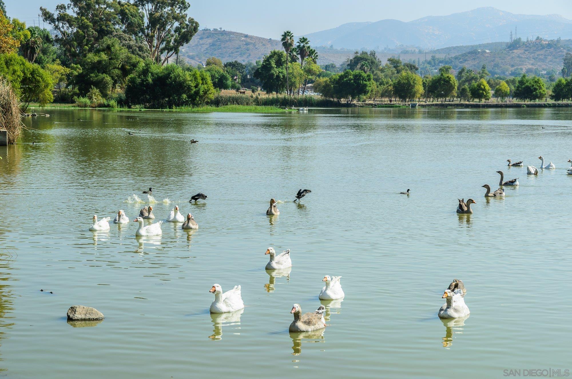 Detail Gallery Image 46 of 50 For 13135  Pam Ln, Lakeside,  CA 92040 - 3 Beds | 2 Baths