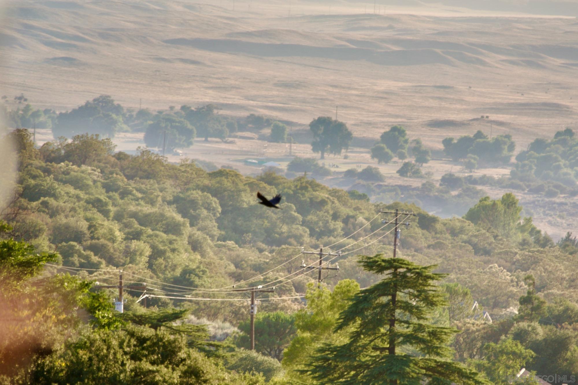 Detail Gallery Image 18 of 66 For 32800  Camino Ortega, Warner Springs,  CA 92086 - 2 Beds | 2 Baths