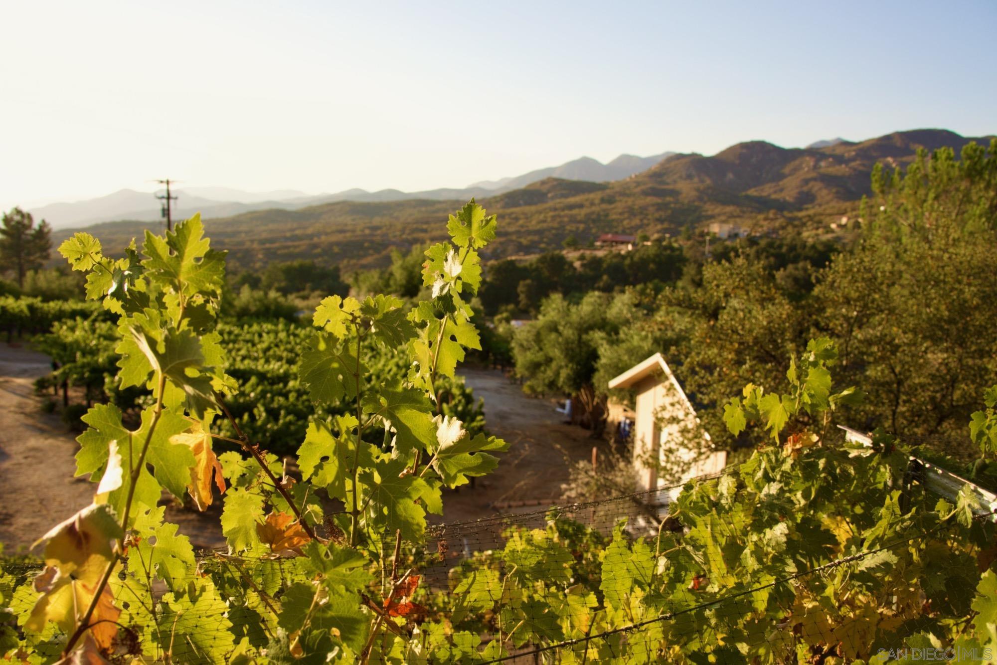 Detail Gallery Image 41 of 66 For 32800  Camino Ortega, Warner Springs,  CA 92086 - 2 Beds | 2 Baths