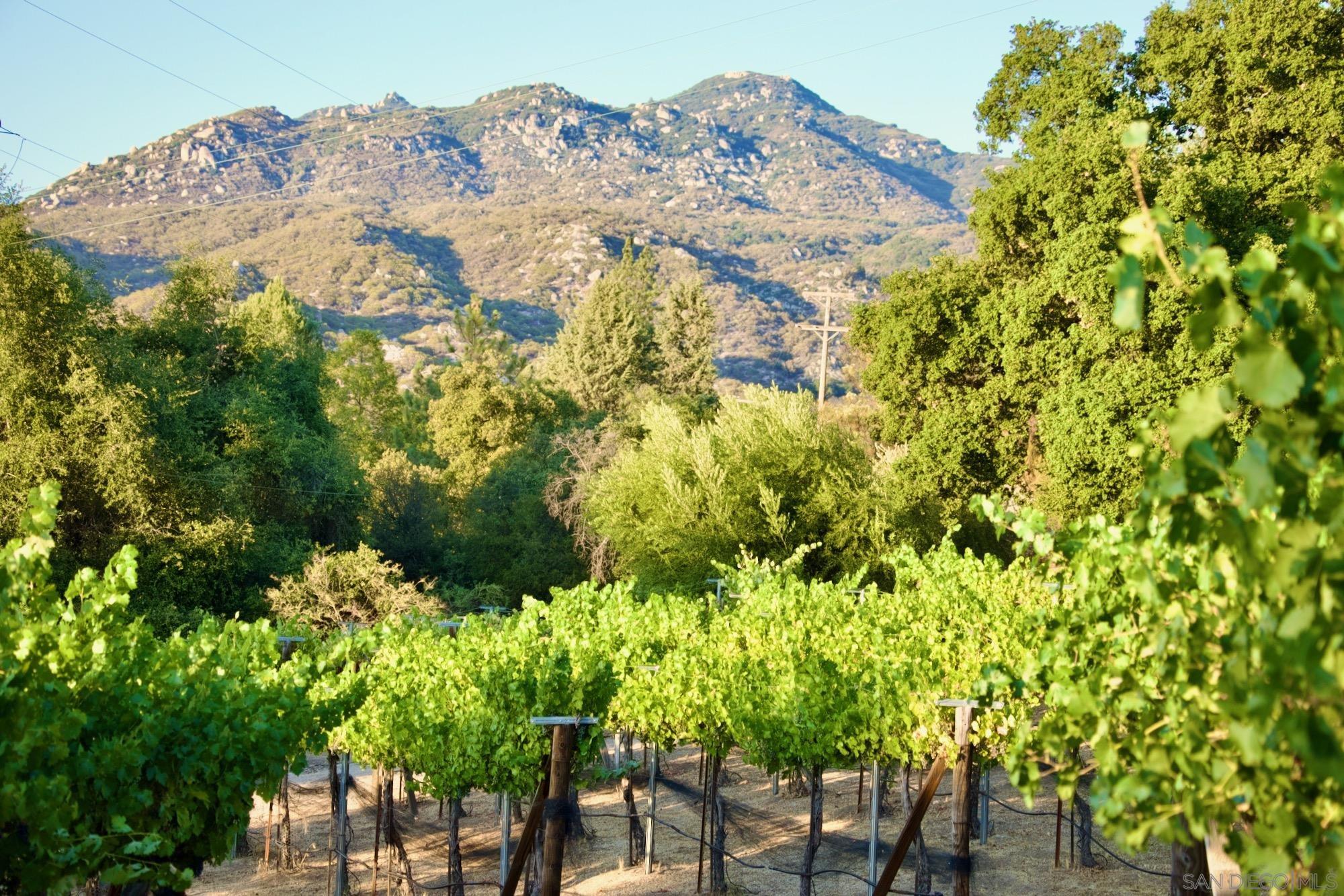 Detail Gallery Image 46 of 66 For 32800  Camino Ortega, Warner Springs,  CA 92086 - 2 Beds | 2 Baths