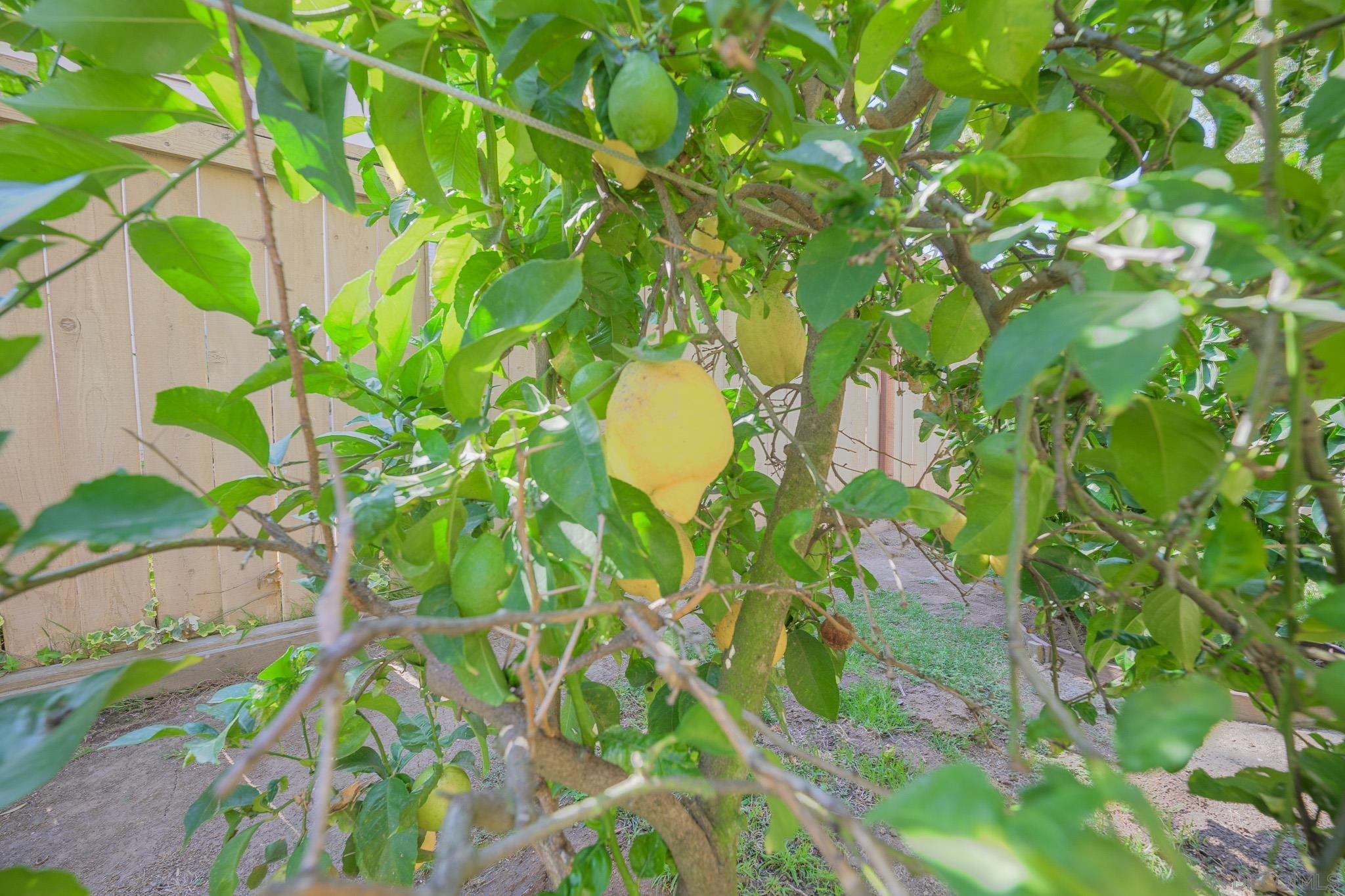 Detail Gallery Image 41 of 69 For 1772  Crescent Knolls Gln, Escondido,  CA 92029 - 4 Beds | 3 Baths