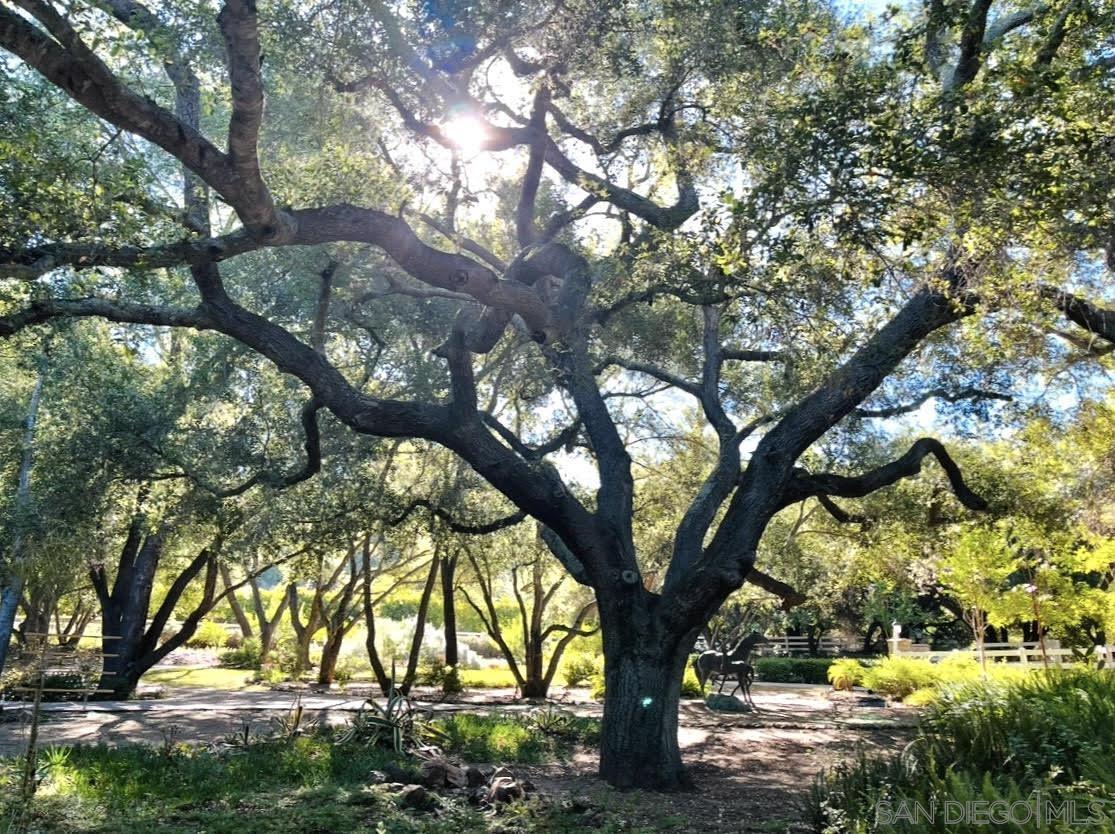 Detail Gallery Image 55 of 74 For 45455  Lorenz Ln, Temecula,  CA 92590 - 4 Beds | 4/1 Baths