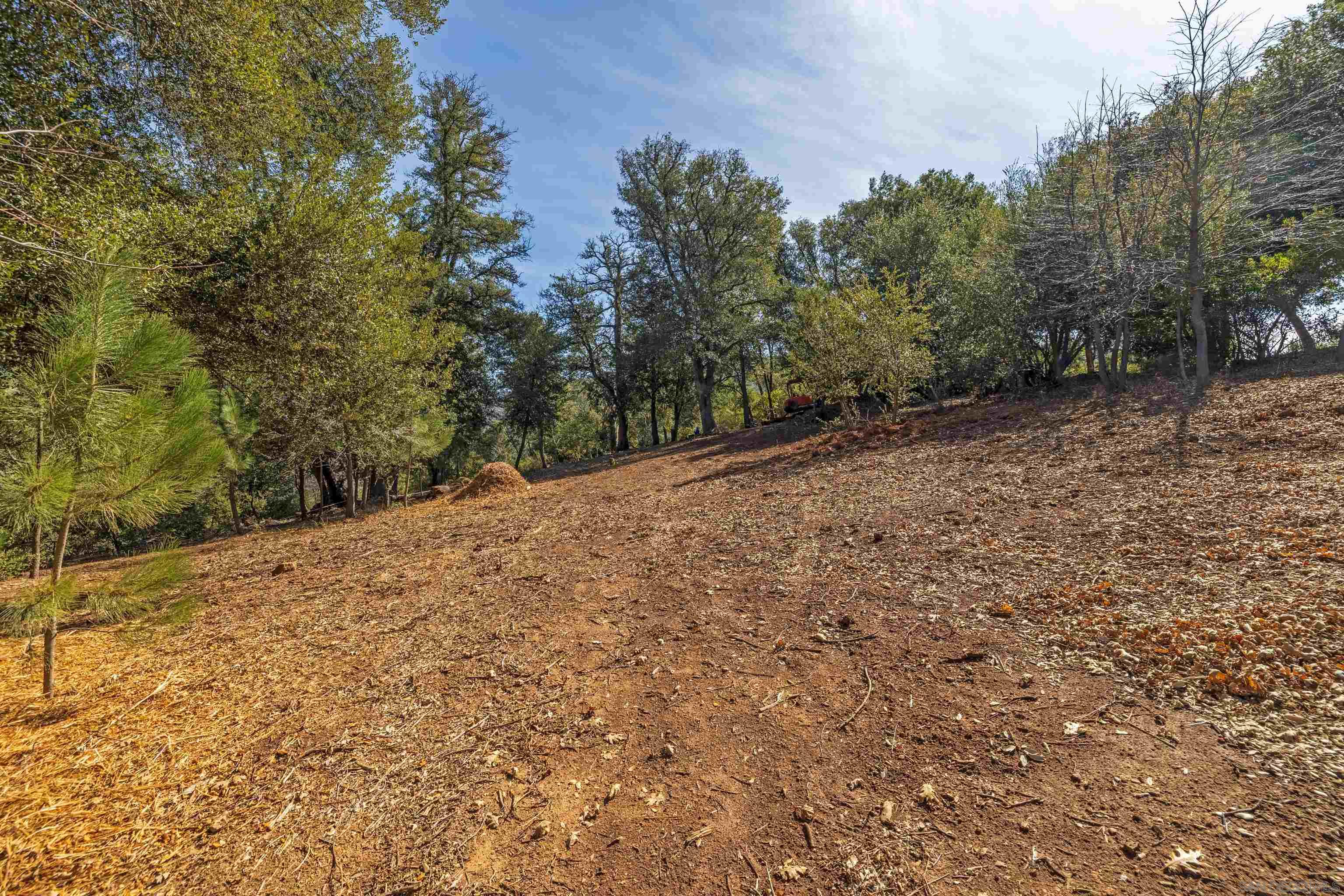 Detail Gallery Image 10 of 12 For , Julian,  CA 92036 - – Beds | – Baths