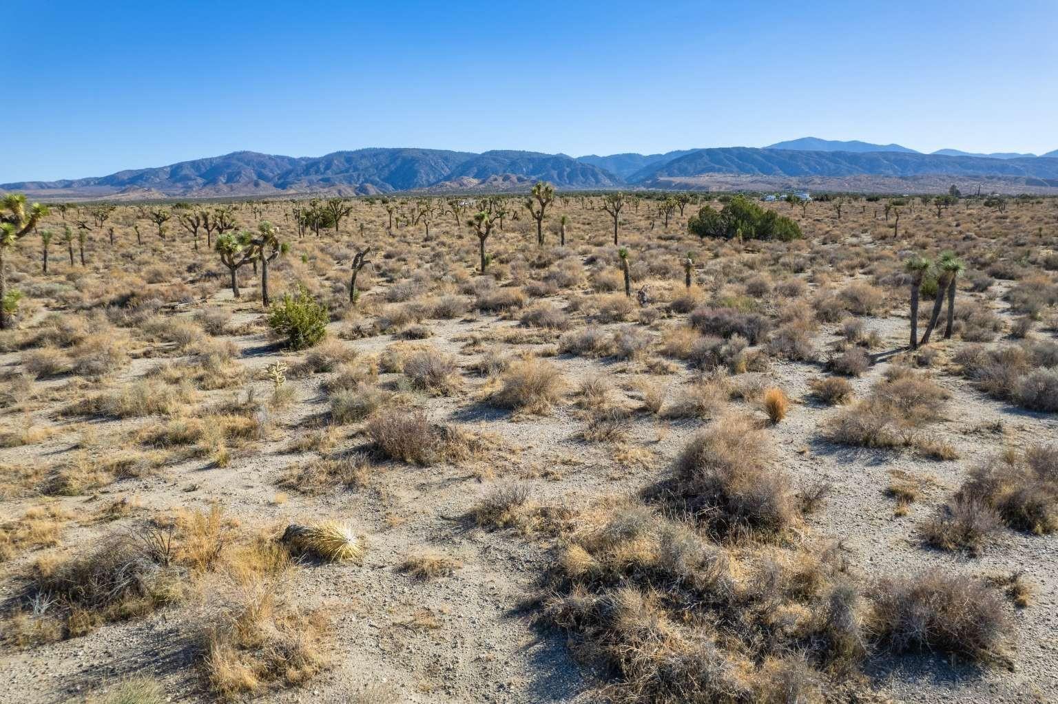 Detail Gallery Image 16 of 39 For , Llano,  CA 93544 - – Beds | – Baths