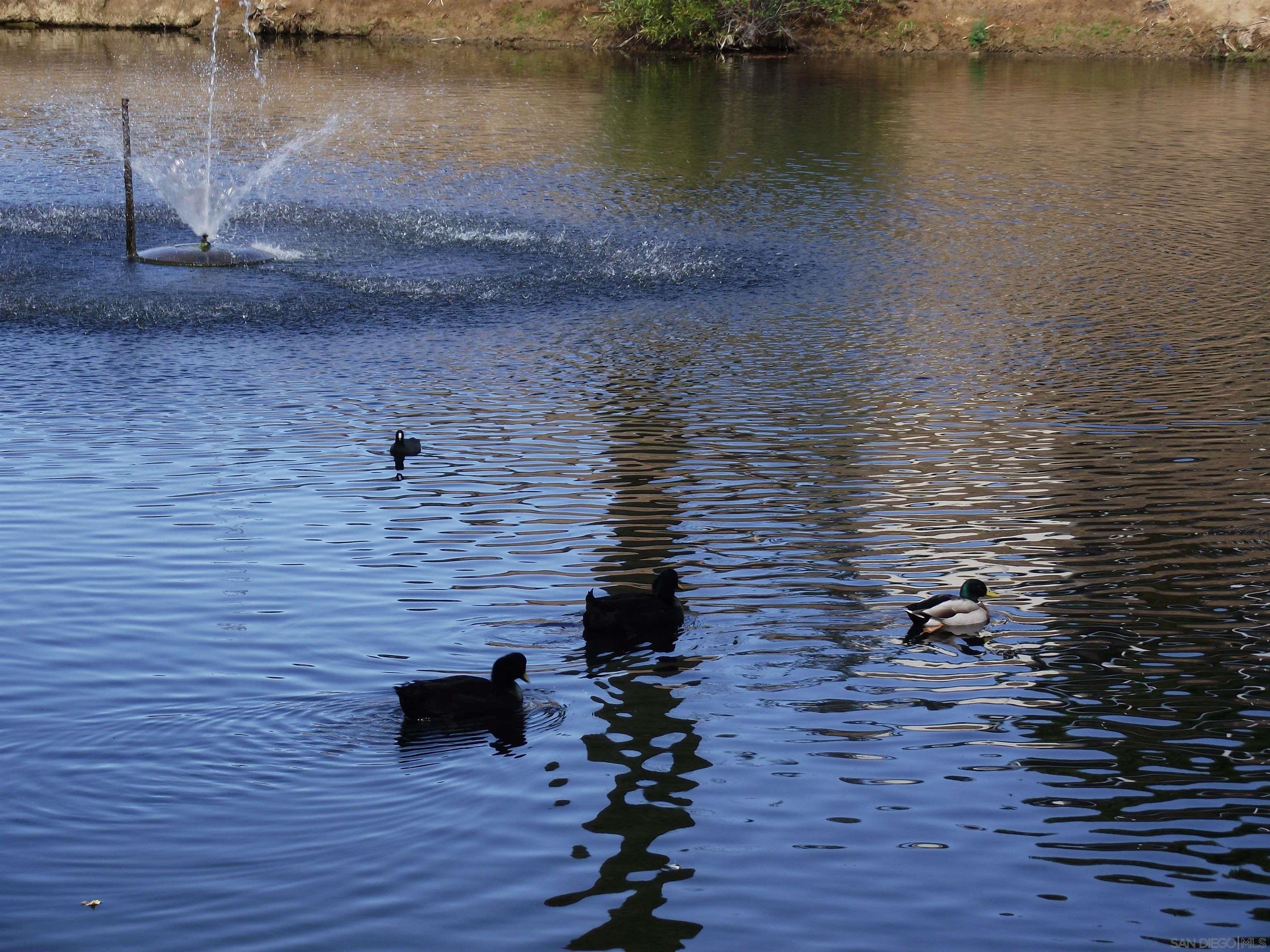 Detail Gallery Image 45 of 62 For 35109  Highway 79  Space #10,  Warner Springs,  CA 92086 - 3 Beds | 2 Baths