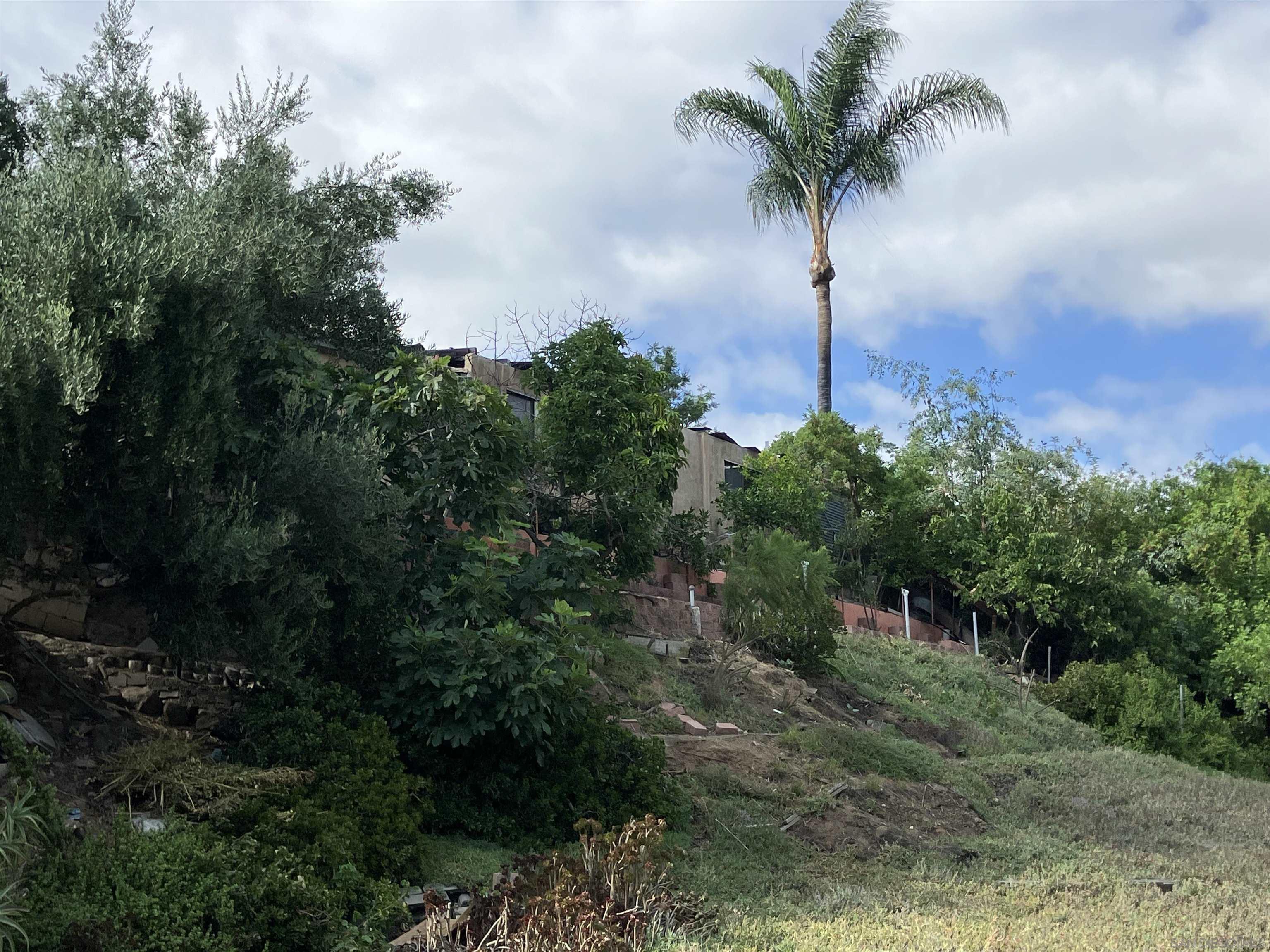 Detail Gallery Image 5 of 6 For 4203  Spartan Cir, San Diego,  CA 92115 - 2 Beds | 1 Baths