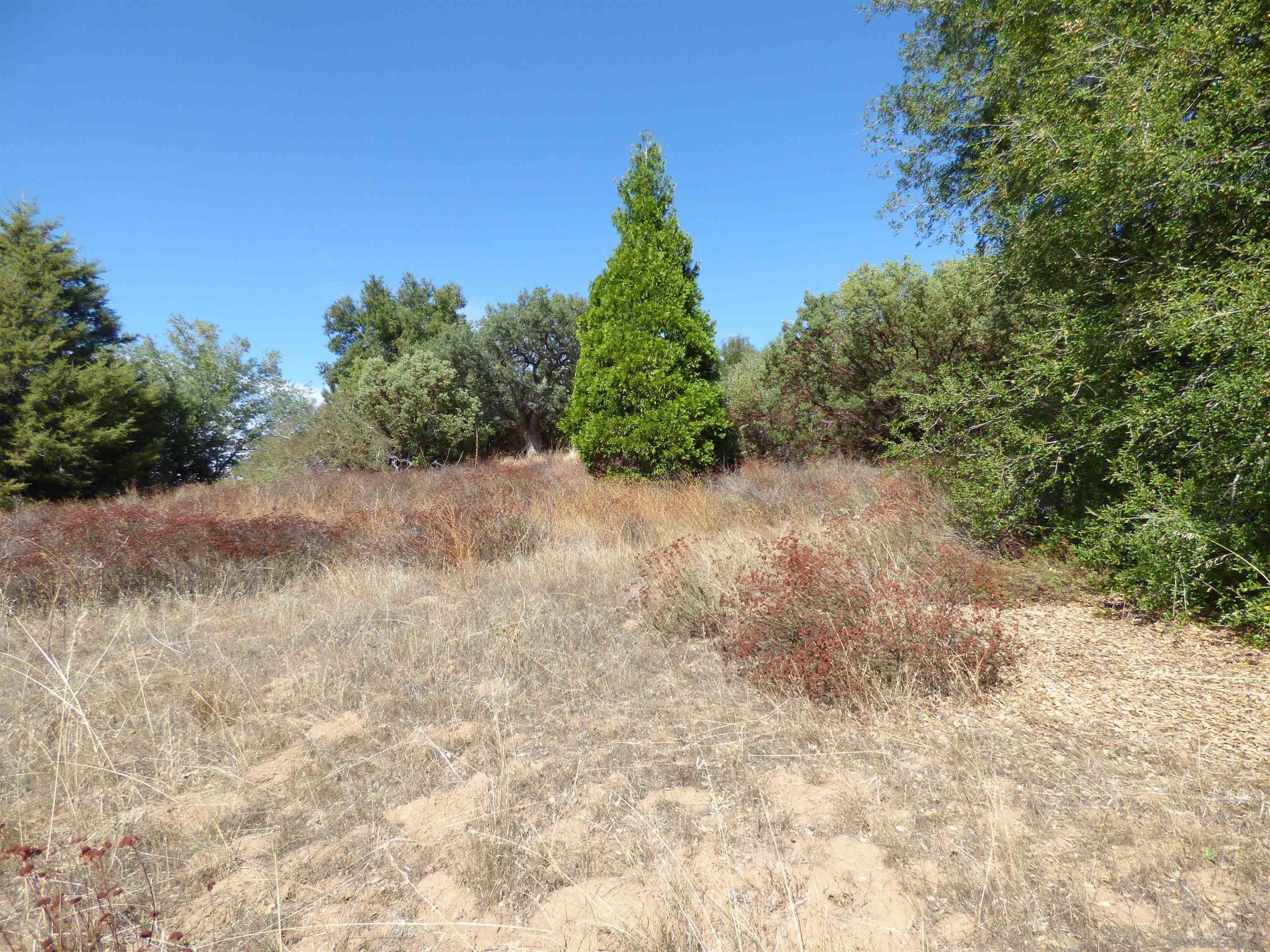 Detail Gallery Image 10 of 27 For , Julian,  CA 92036 - – Beds | – Baths