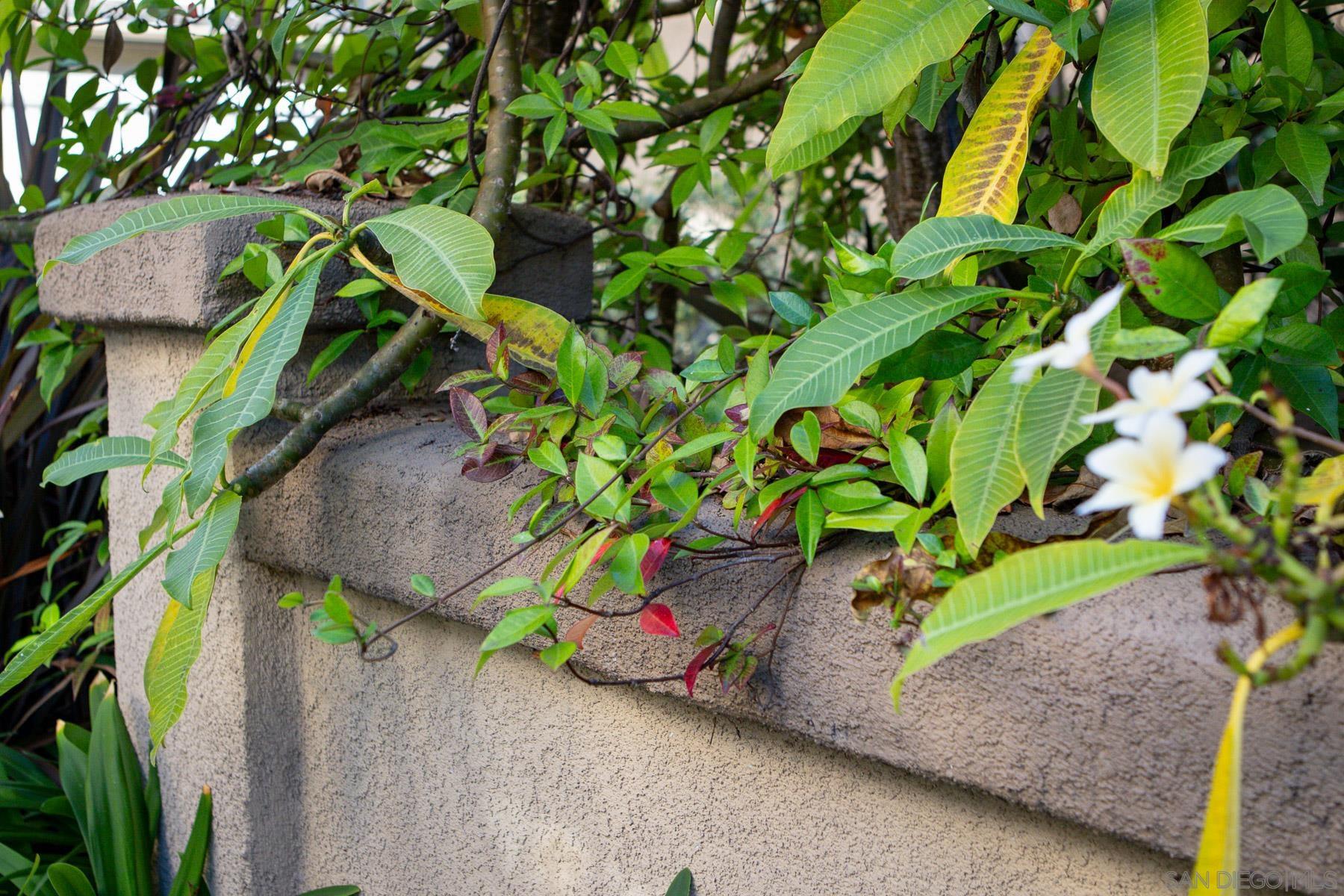 Detail Gallery Image 32 of 37 For 10447  Whitcomb Way  #161,  San Diego,  CA 92127 - 4 Beds | 2/1 Baths