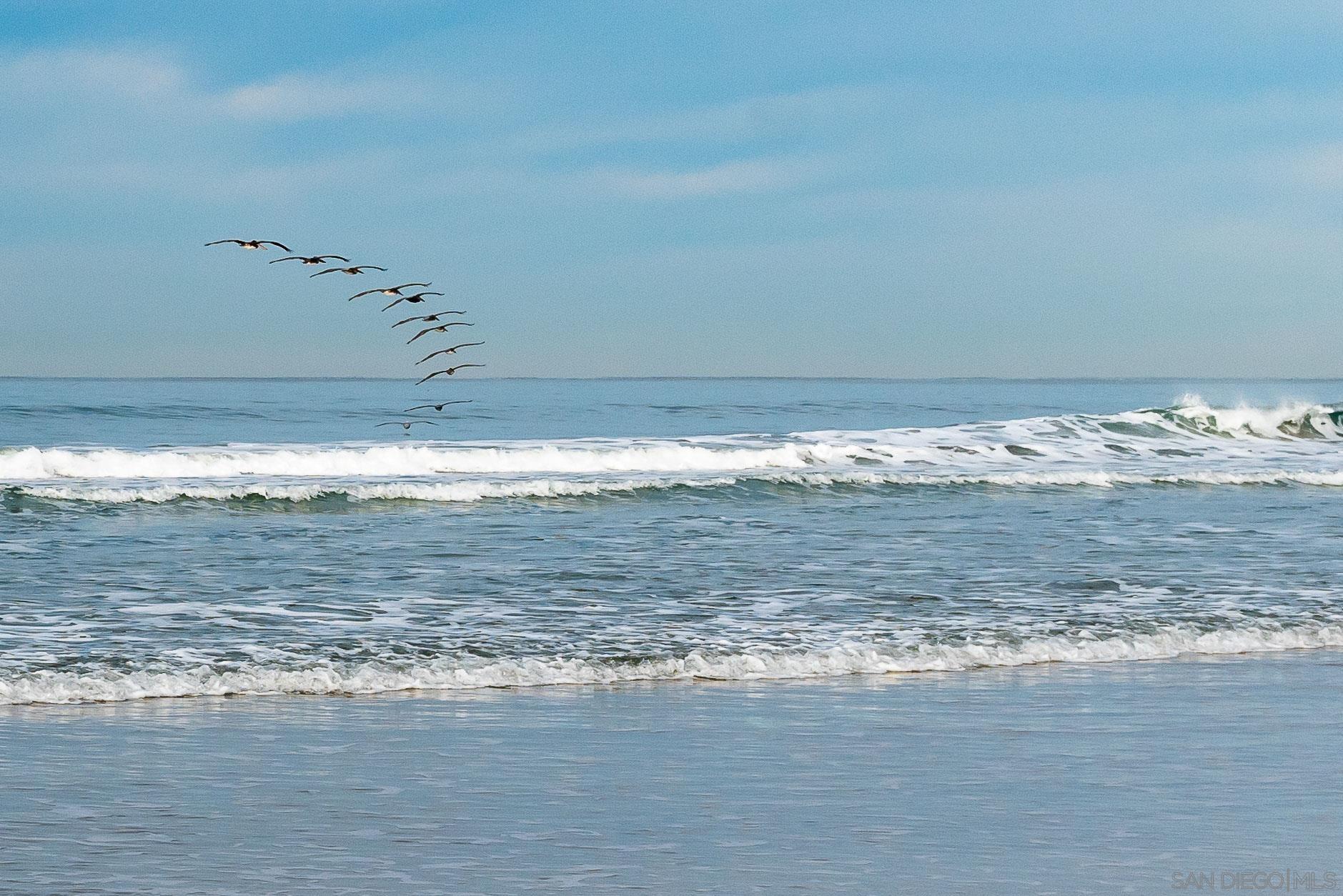 Detail Gallery Image 54 of 61 For 1060  America Way, Del Mar,  CA 92014 - 2 Beds | 2/1 Baths