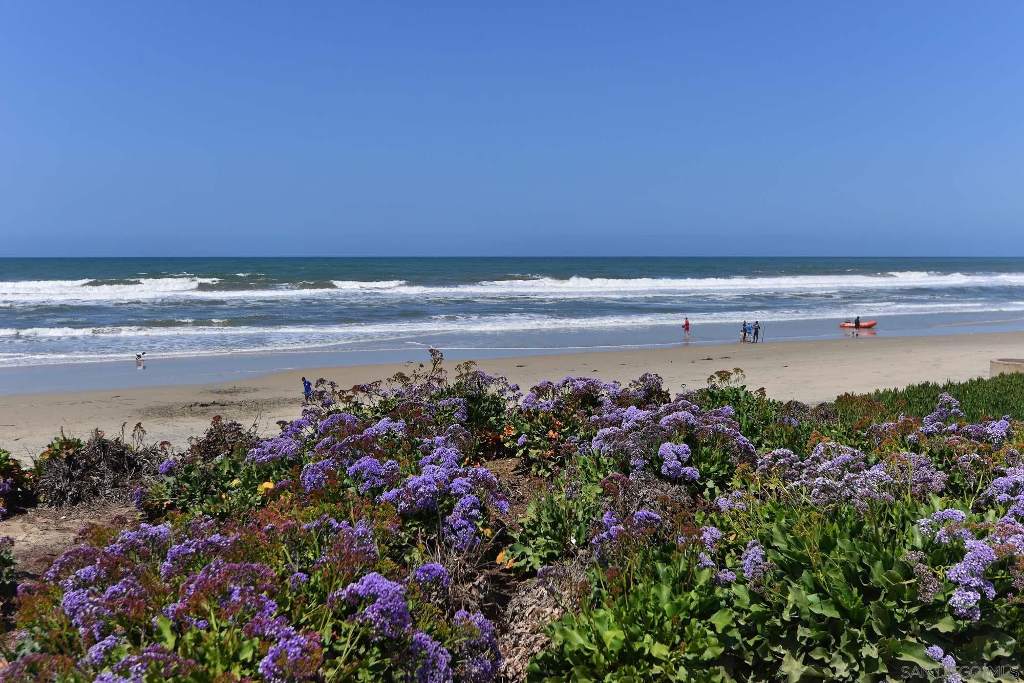 Detail Gallery Image 24 of 31 For 2921  Sandy Pointe  #3,  Del Mar,  CA 92014 - 2 Beds | 2/1 Baths