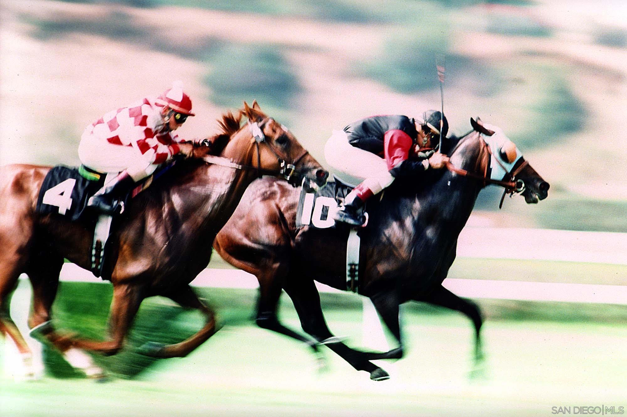 Detail Gallery Image 31 of 31 For 2921  Sandy Pointe  #3,  Del Mar,  CA 92014 - 2 Beds | 2/1 Baths