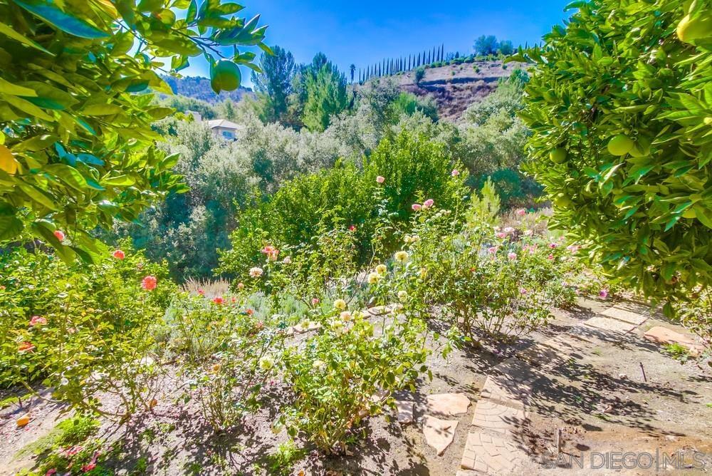 Detail Gallery Image 59 of 69 For 15731  Pauma Valley Dr., Pauma Valley,  CA 92061 - 4 Beds | 3/1 Baths