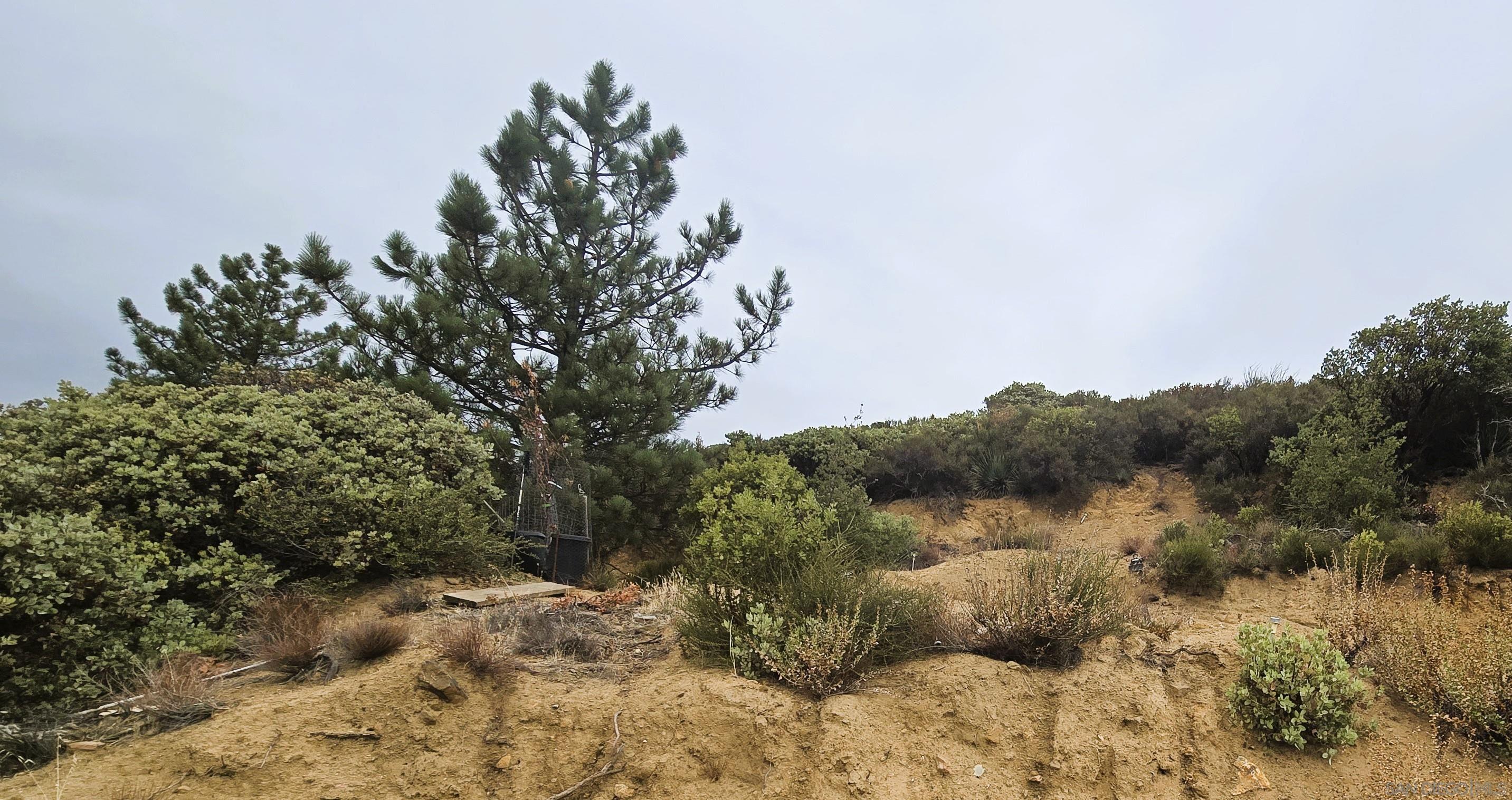 Detail Gallery Image 4 of 12 For , Julian,  CA 92036 - – Beds | – Baths