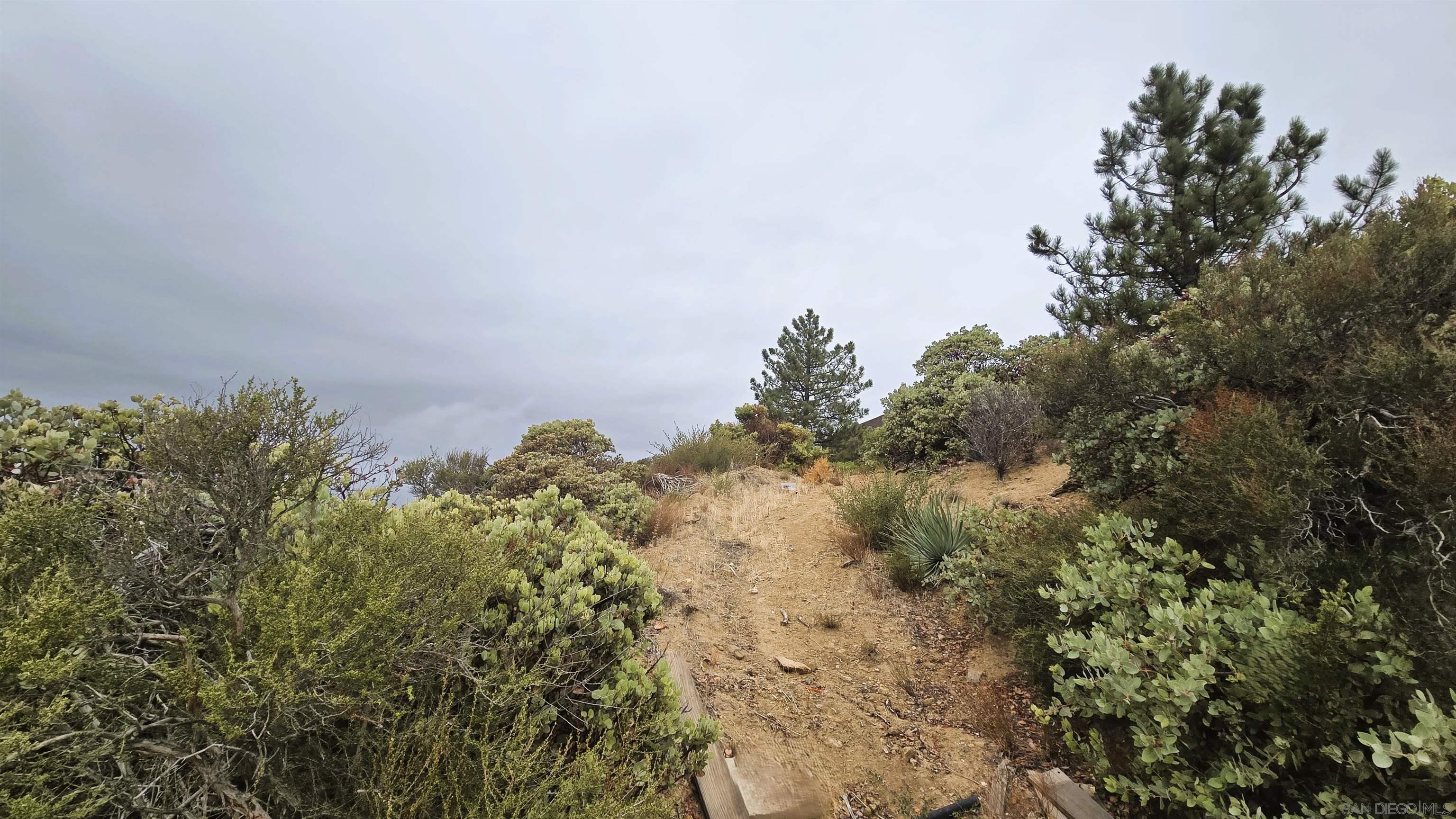 Detail Gallery Image 8 of 12 For , Julian,  CA 92036 - – Beds | – Baths