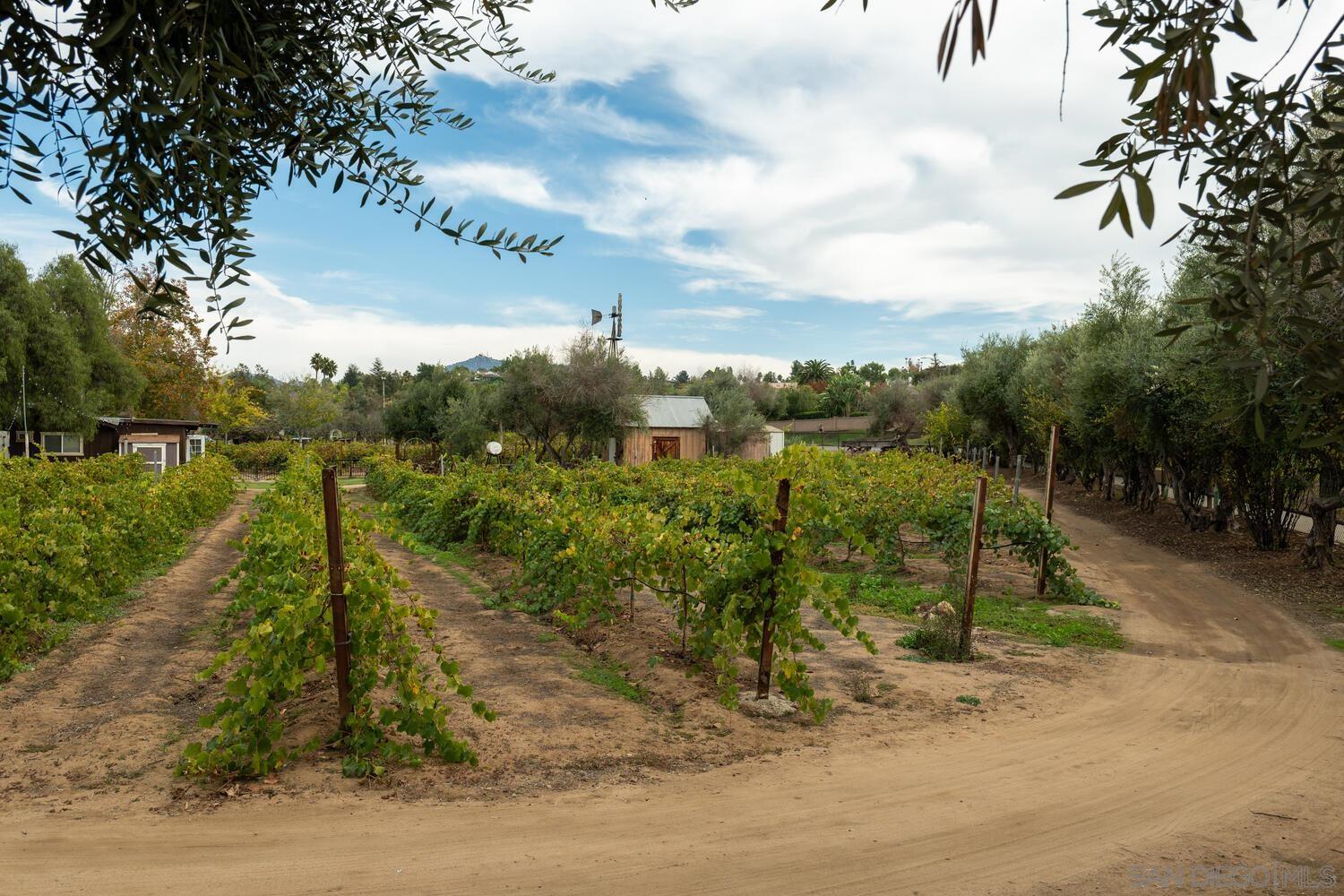 Detail Gallery Image 48 of 68 For 12872  Circulo Dardo, San Diego,  CA 92128 - 2 Beds | 2 Baths