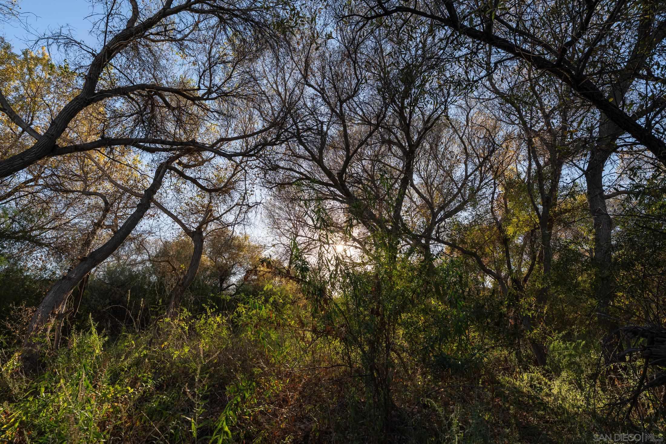 Detail Gallery Image 43 of 52 For Sage Road, Aguanga,  CA 92536 - – Beds | – Baths