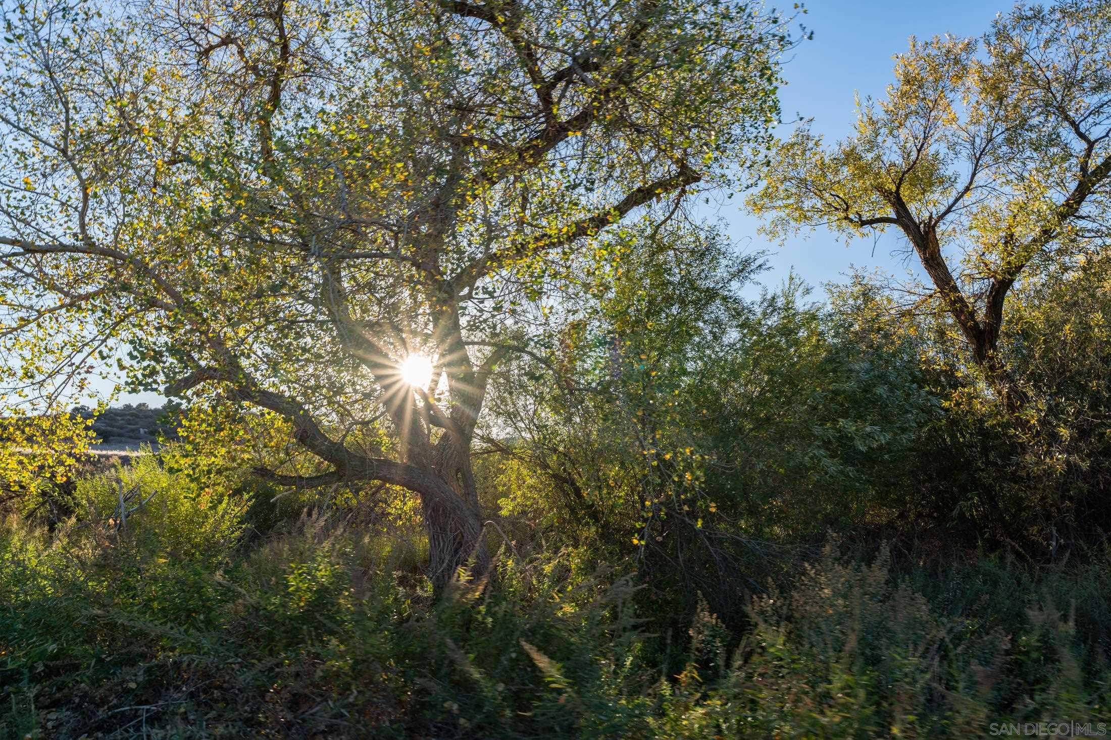 Detail Gallery Image 46 of 52 For Sage Road, Aguanga,  CA 92536 - – Beds | – Baths