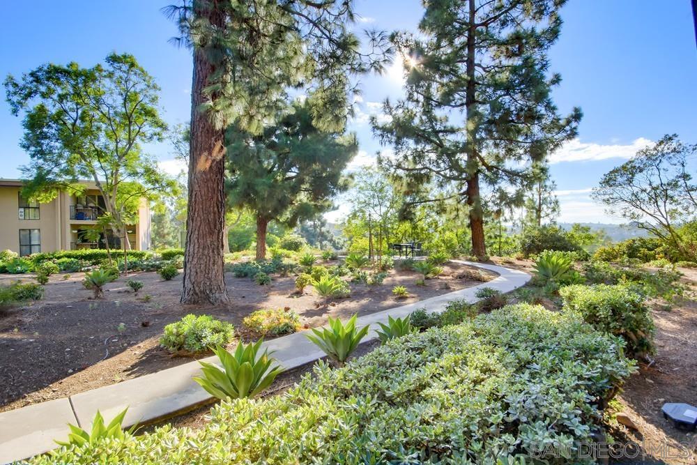 Detail Gallery Image 33 of 40 For 7858  Cowles Mountain Ct  #D7,  San Diego,  CA 92119 - 1 Beds | 1 Baths