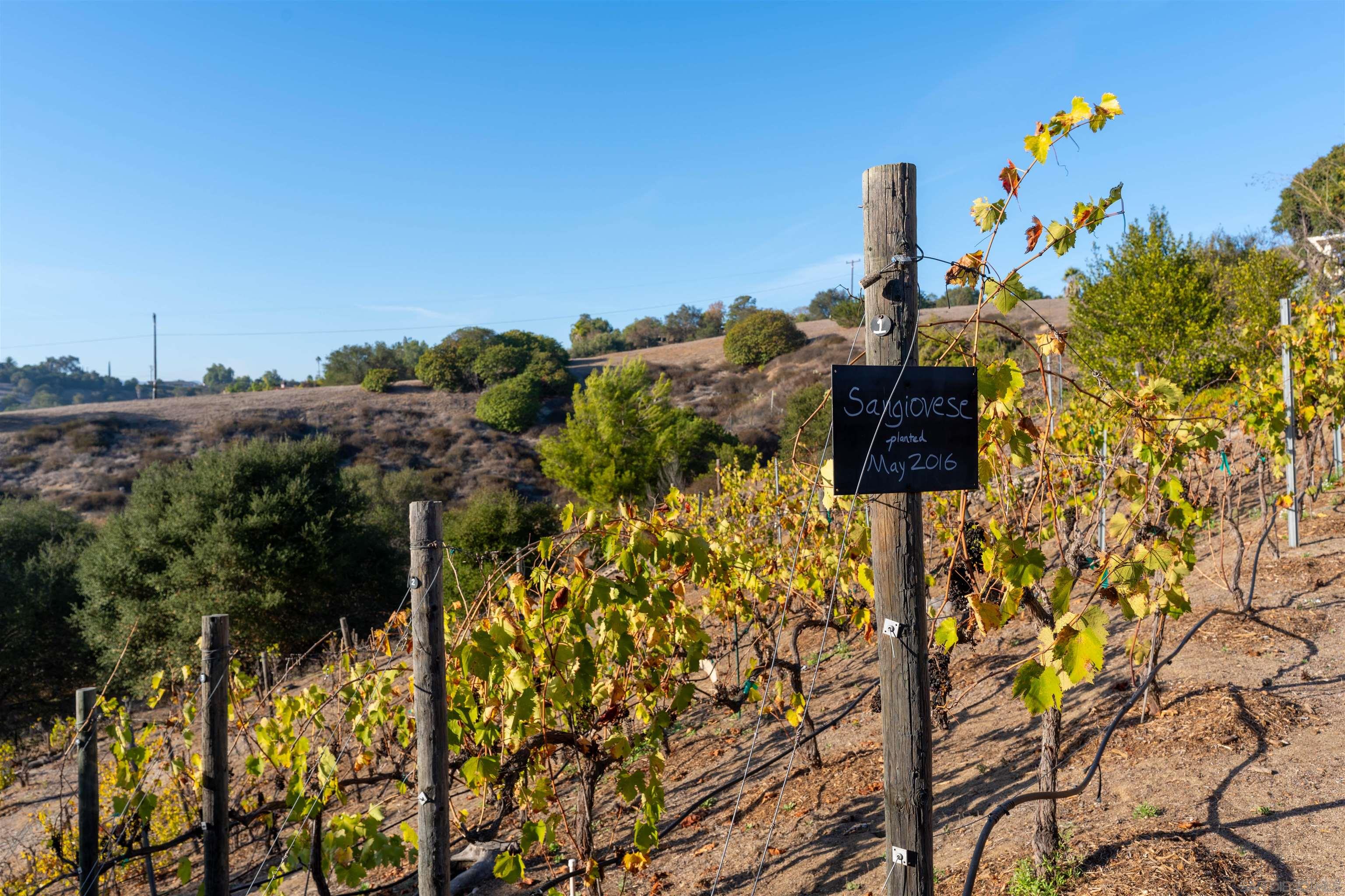 Detail Gallery Image 57 of 67 For 4141  Palomar Drive, Fallbrook,  CA 92028 - 5 Beds | 3 Baths